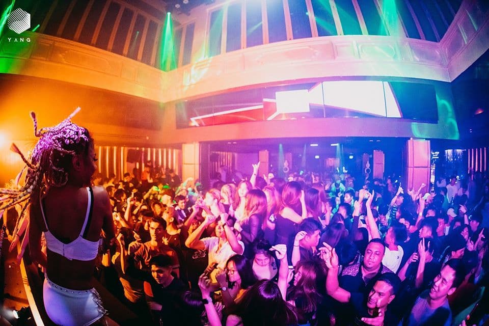 Exclusive Hire, Yang Club photo #3