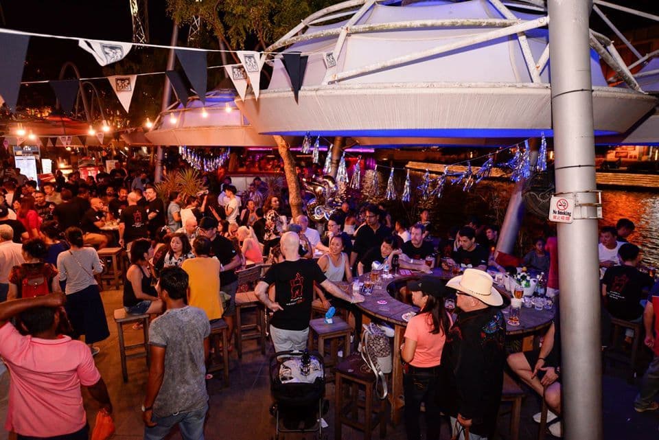 Exclusive Hire, Crazy Elephant photo #3