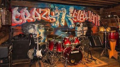 Photo of Crazy Elephant