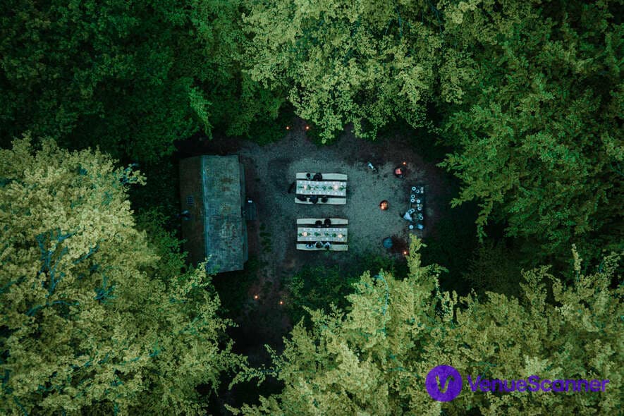 The Secret Woodland photo #3