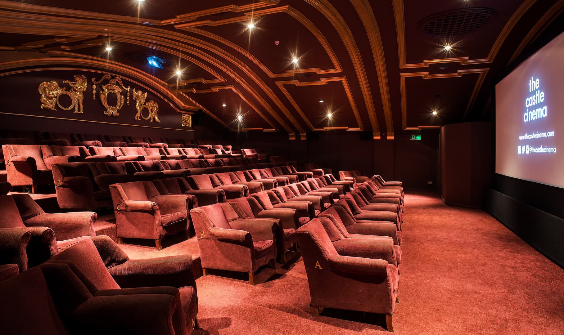 Exclusive Hire, Castle Cinema photo #13