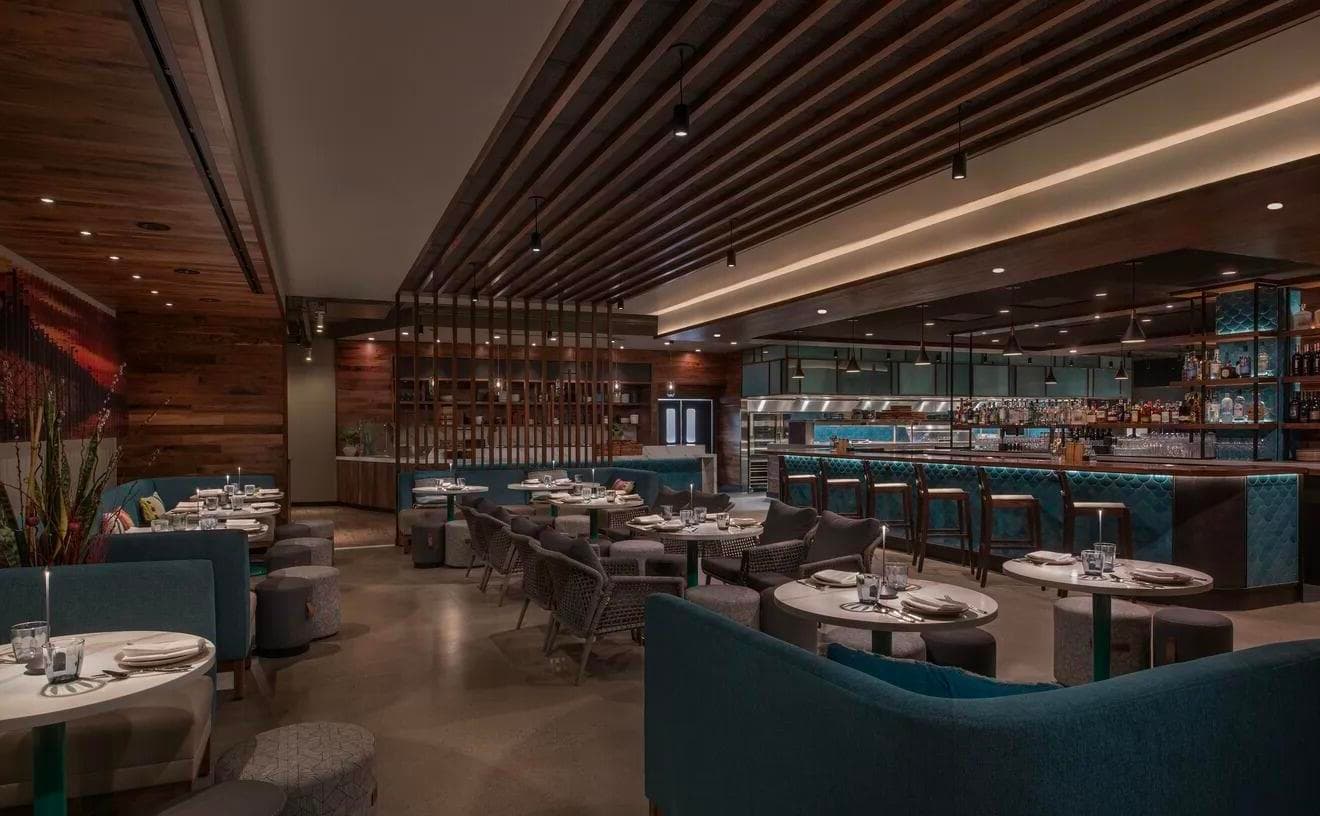 Main Dining Area, La Mar Cocina Peruana Bellevue photo #1