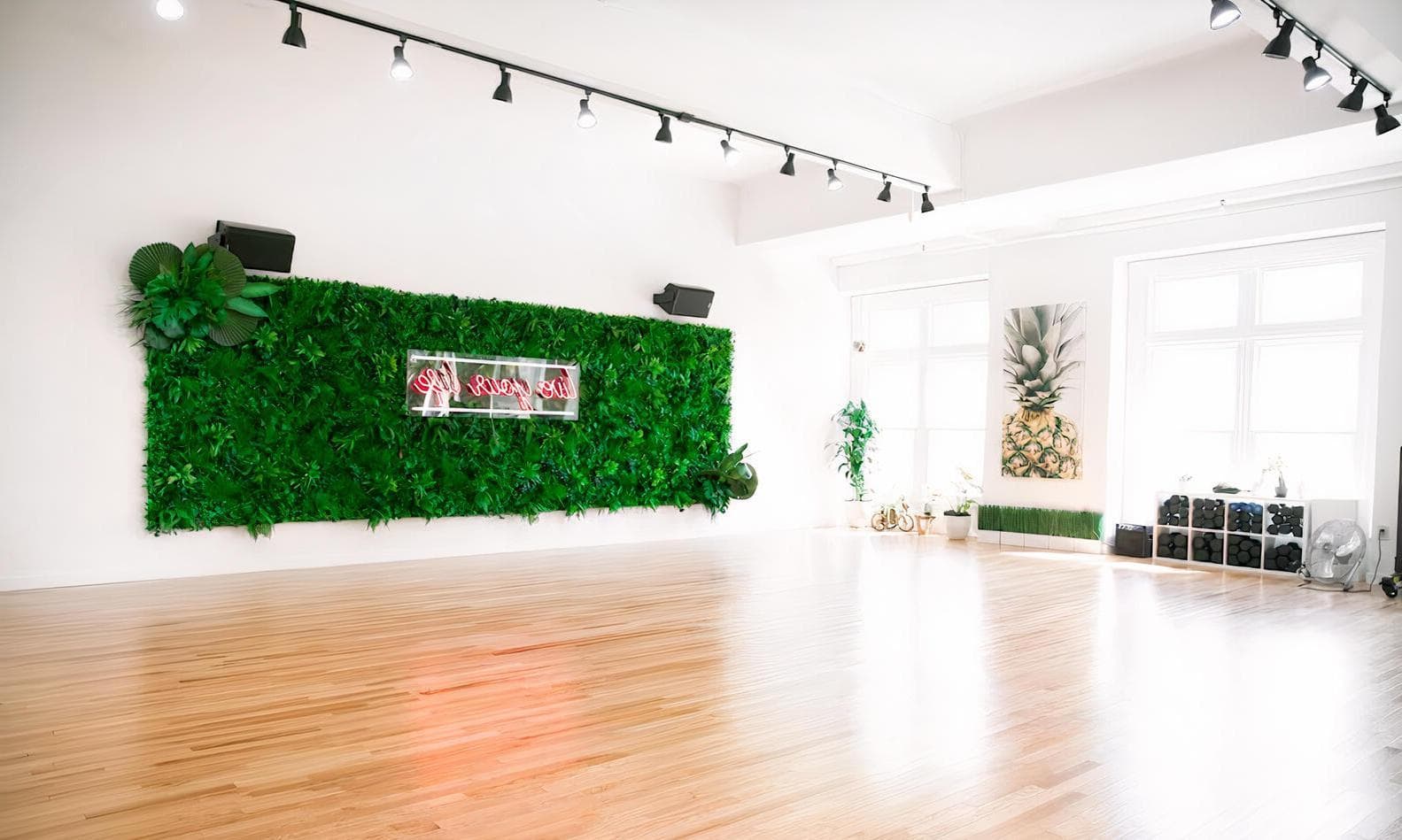 Studio 1 "Live Your Life"