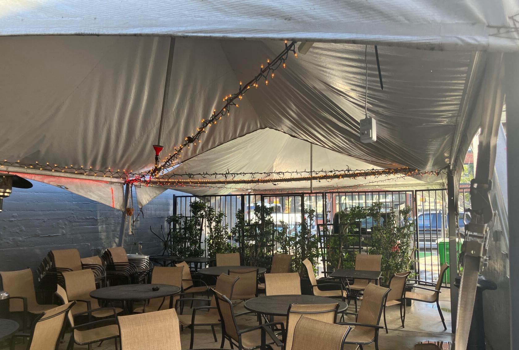 Big Top Tent, Mars Bar Restaurant photo #1