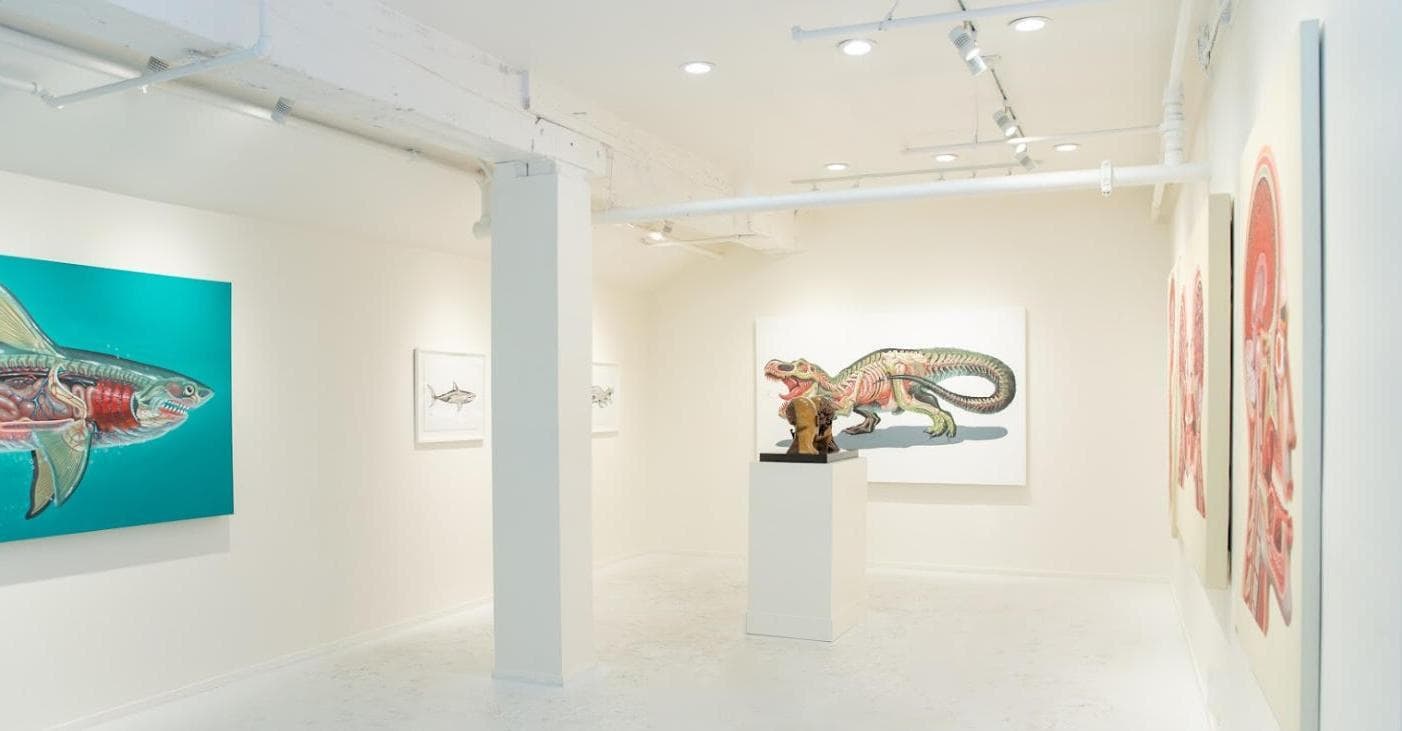 Mirus Gallery San Francisco