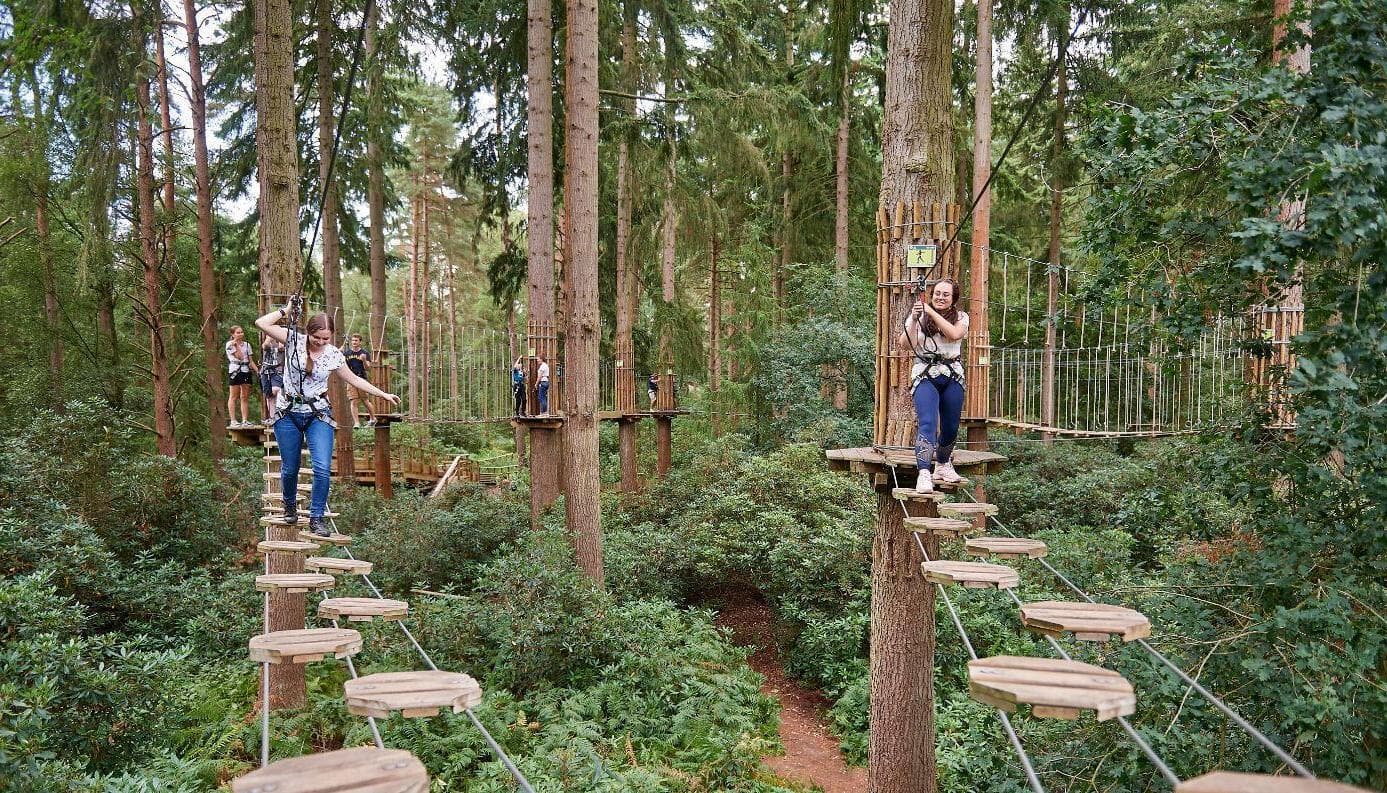 Treetop Adventure, Go Ape Thetford photo #1