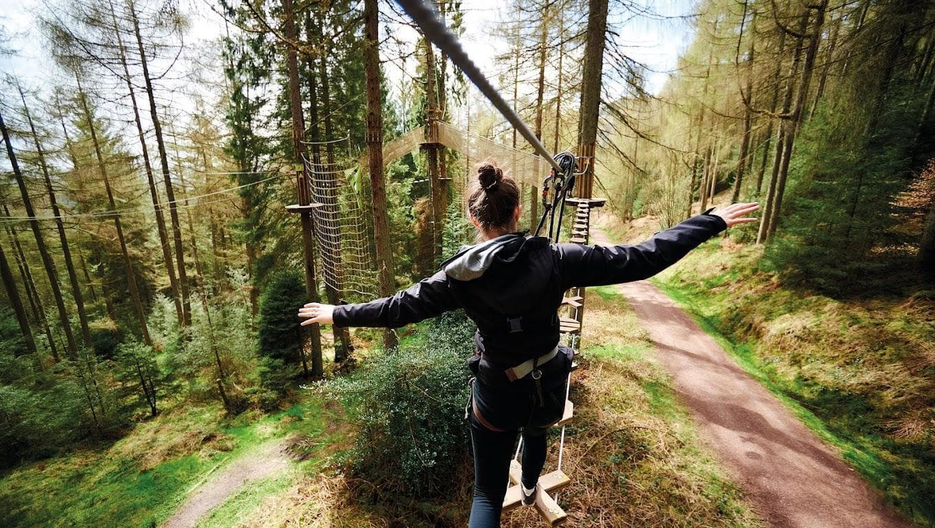 Treetop Challenge, Go Ape Thetford photo #1
