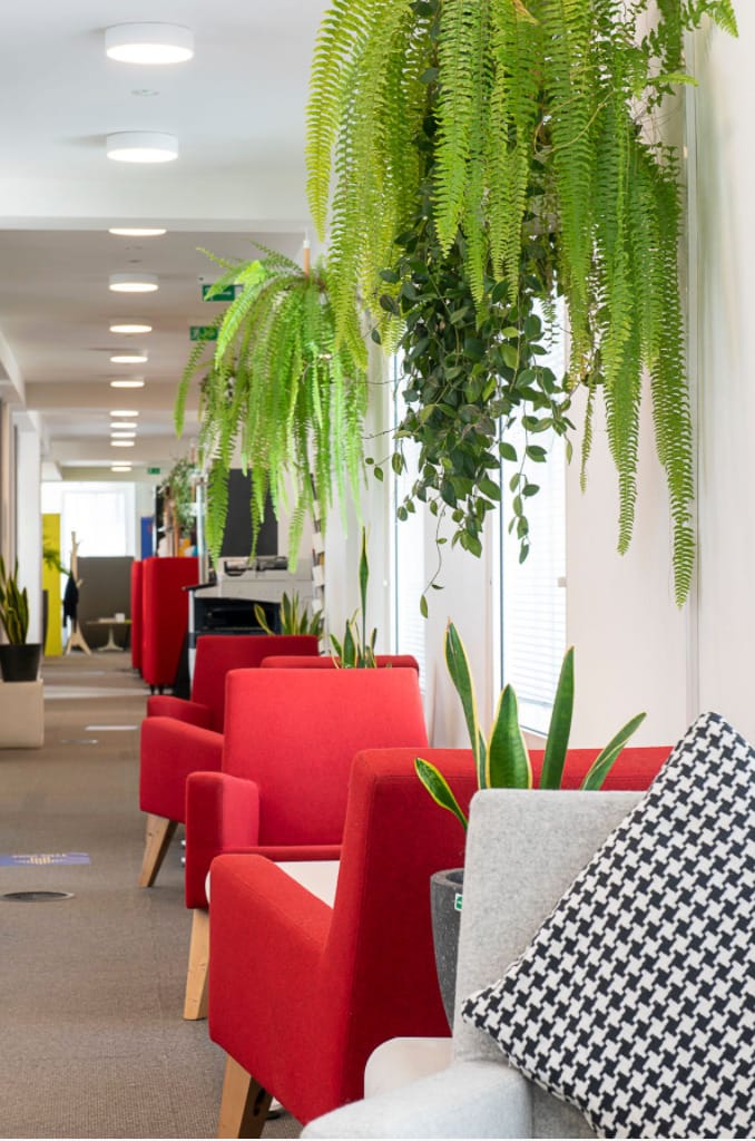 Photo of eOffice Fitzrovia