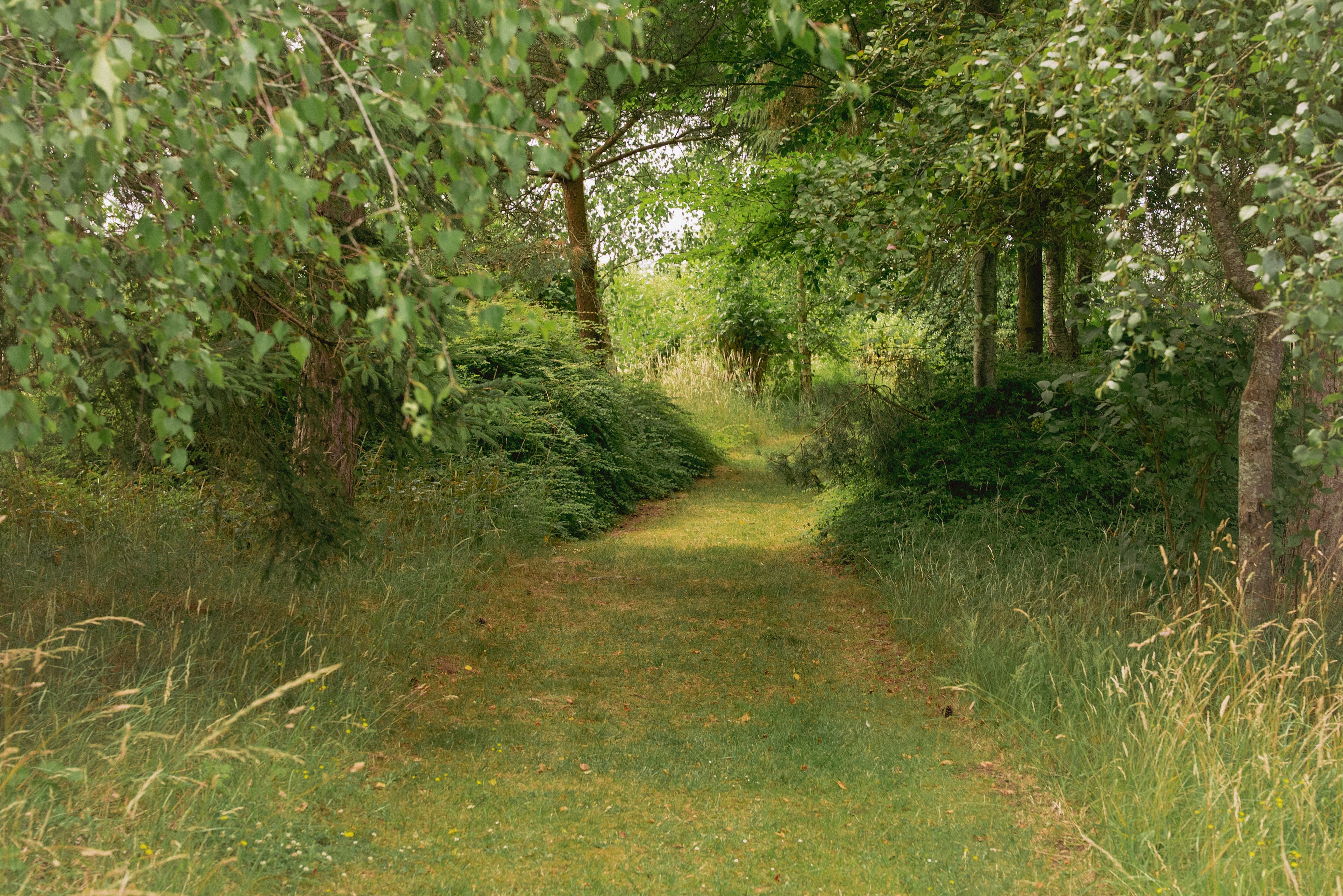 Photo of The Shire Retreat, Wedding Hire