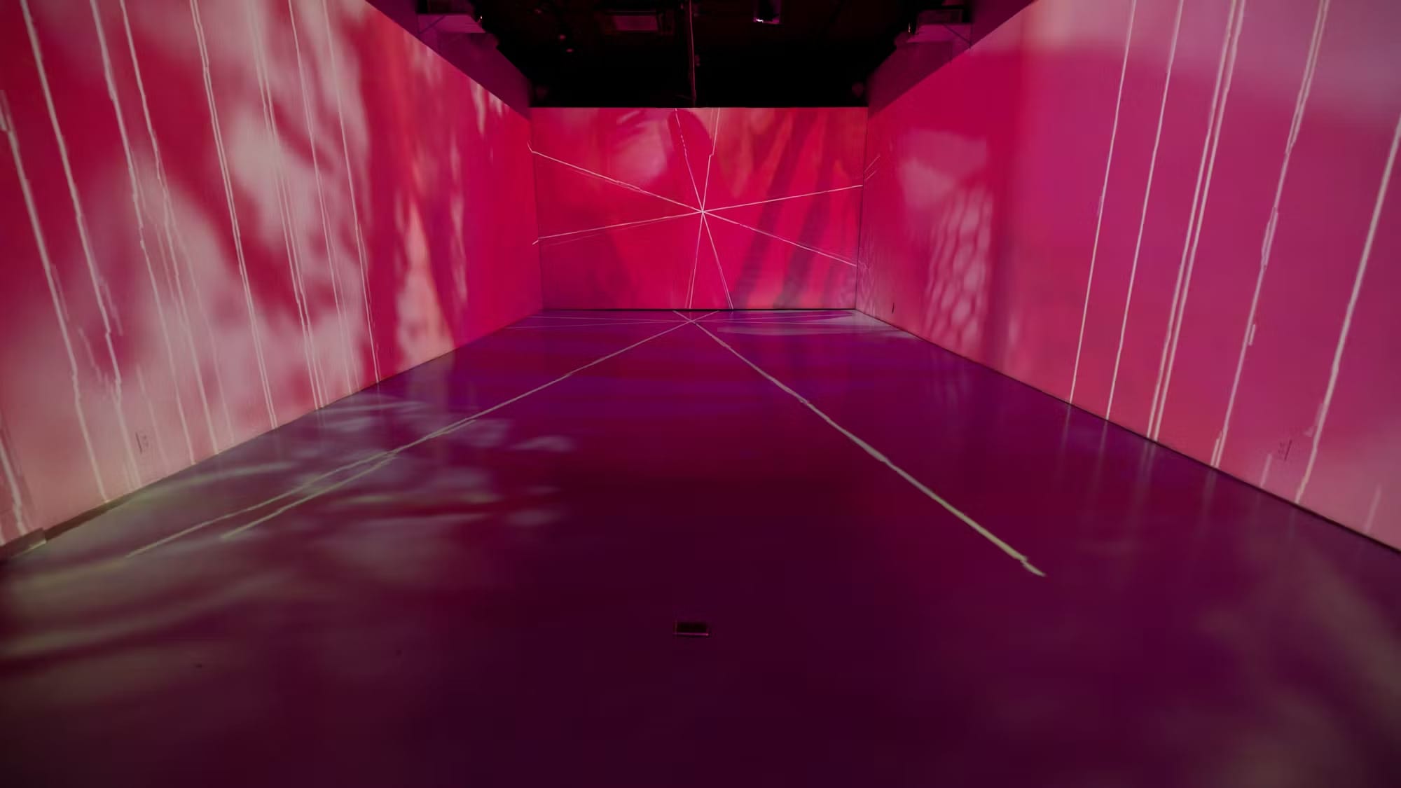 Photo of Lume Studios, Immersive Studio