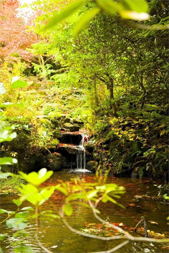 Photo of Slaley Hall, Exclusive Hire