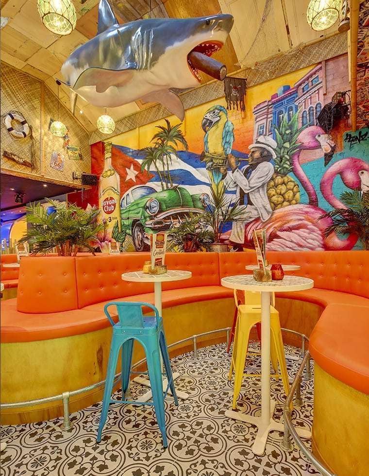Photo of Rumba, Exclusive Hire