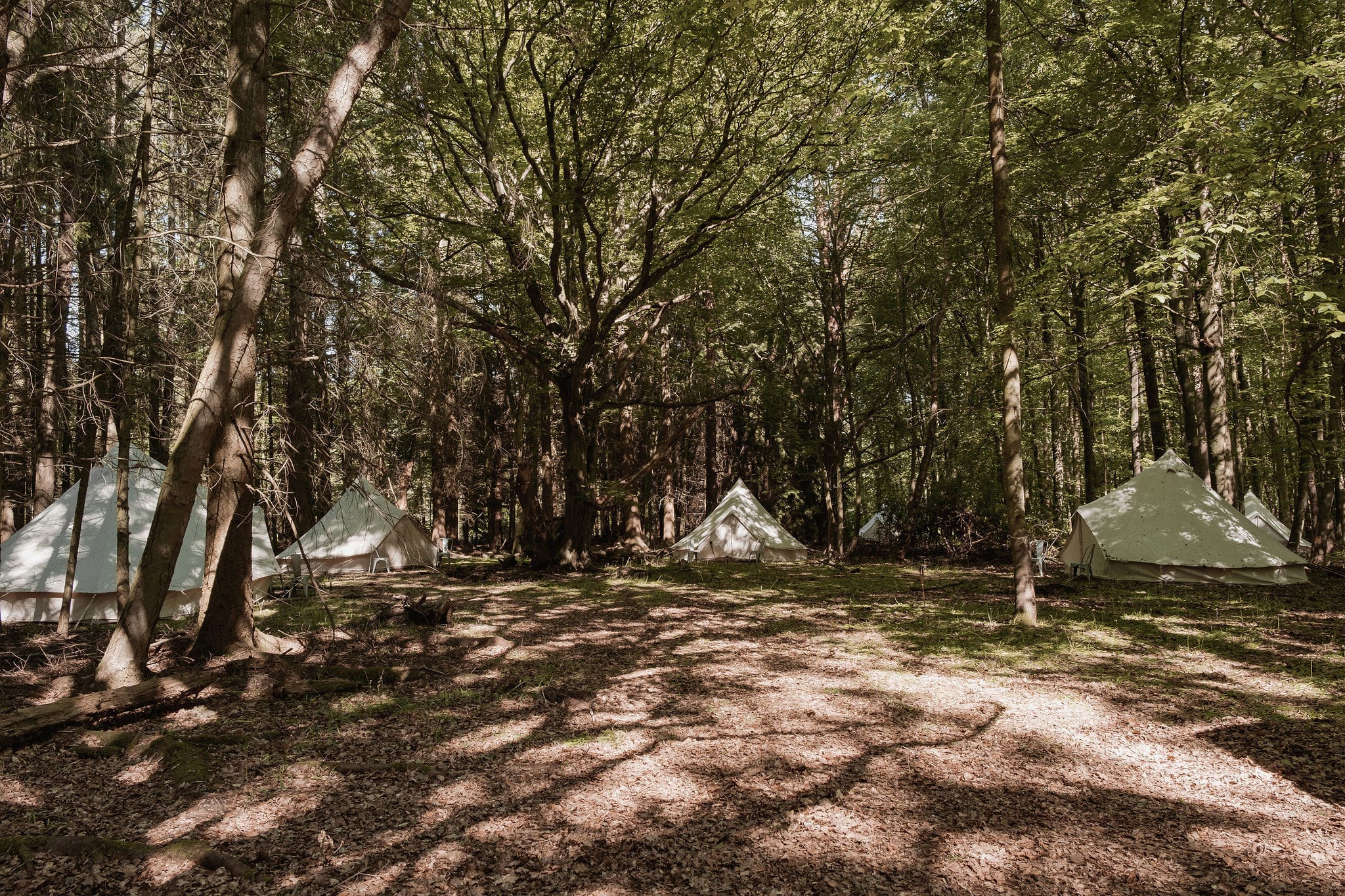 Photo of Nomadic Dinners, Exclusive Hire