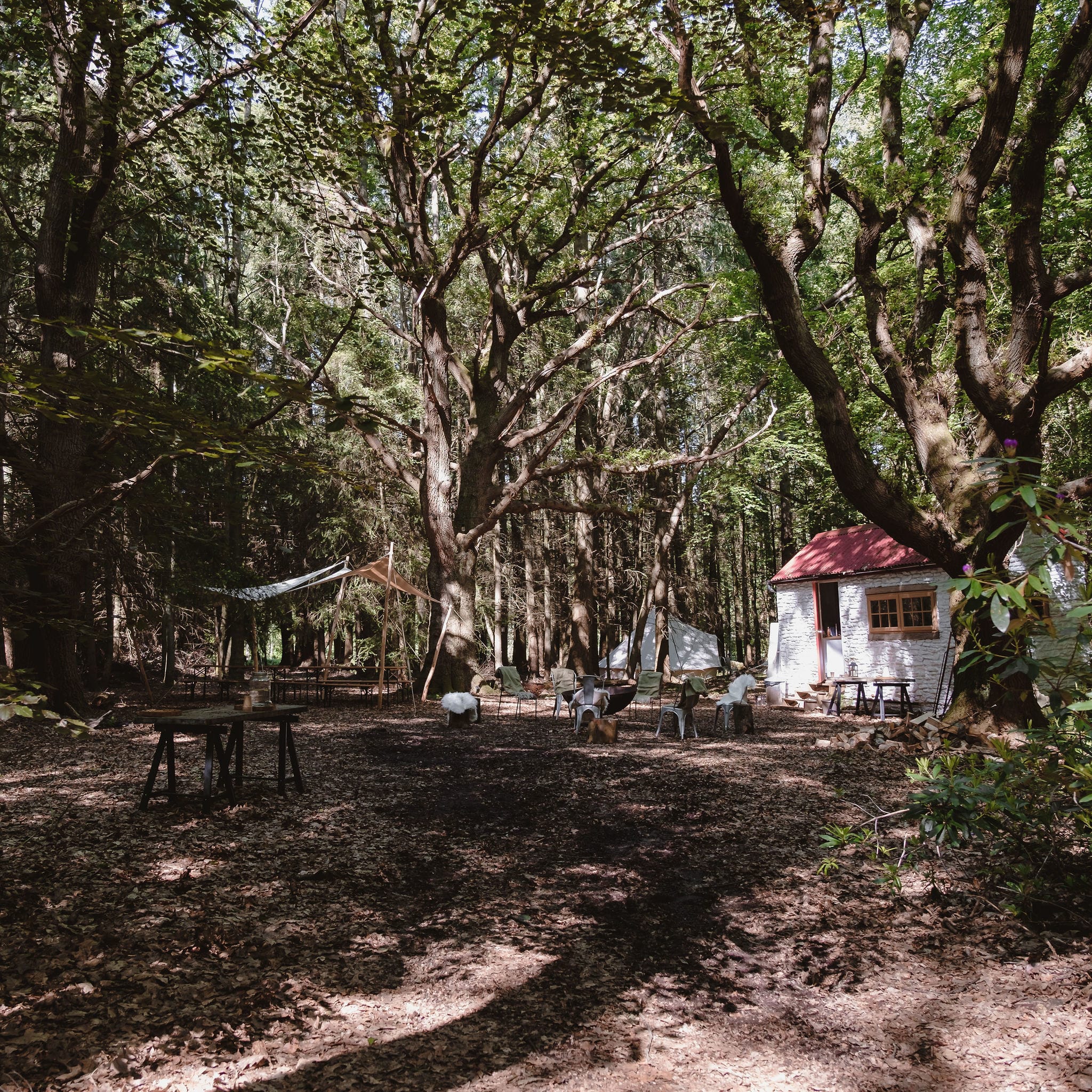 Photo of Nomadic Dinners, Exclusive Hire