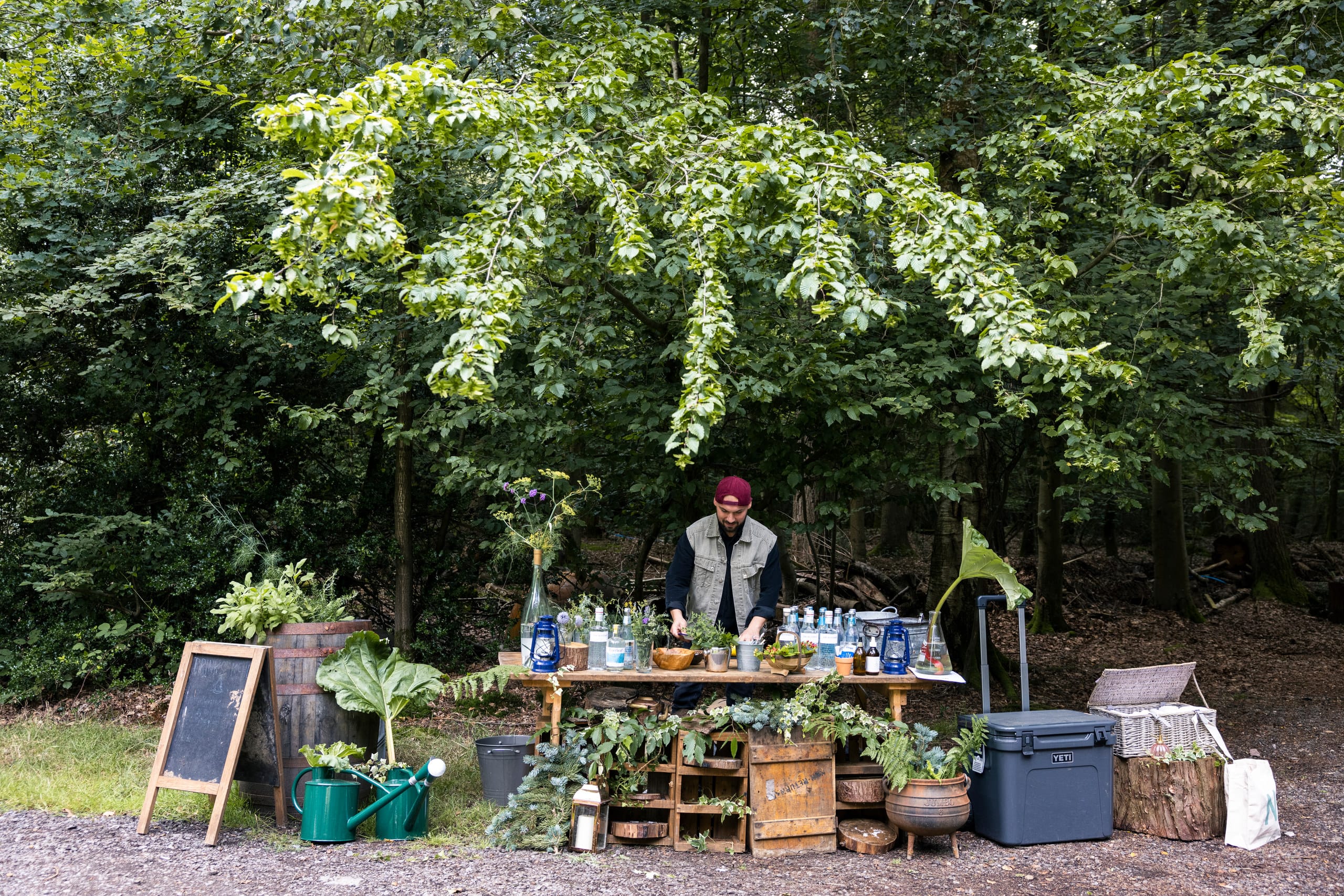 Photo of Nomadic Dinners, Festive Forest