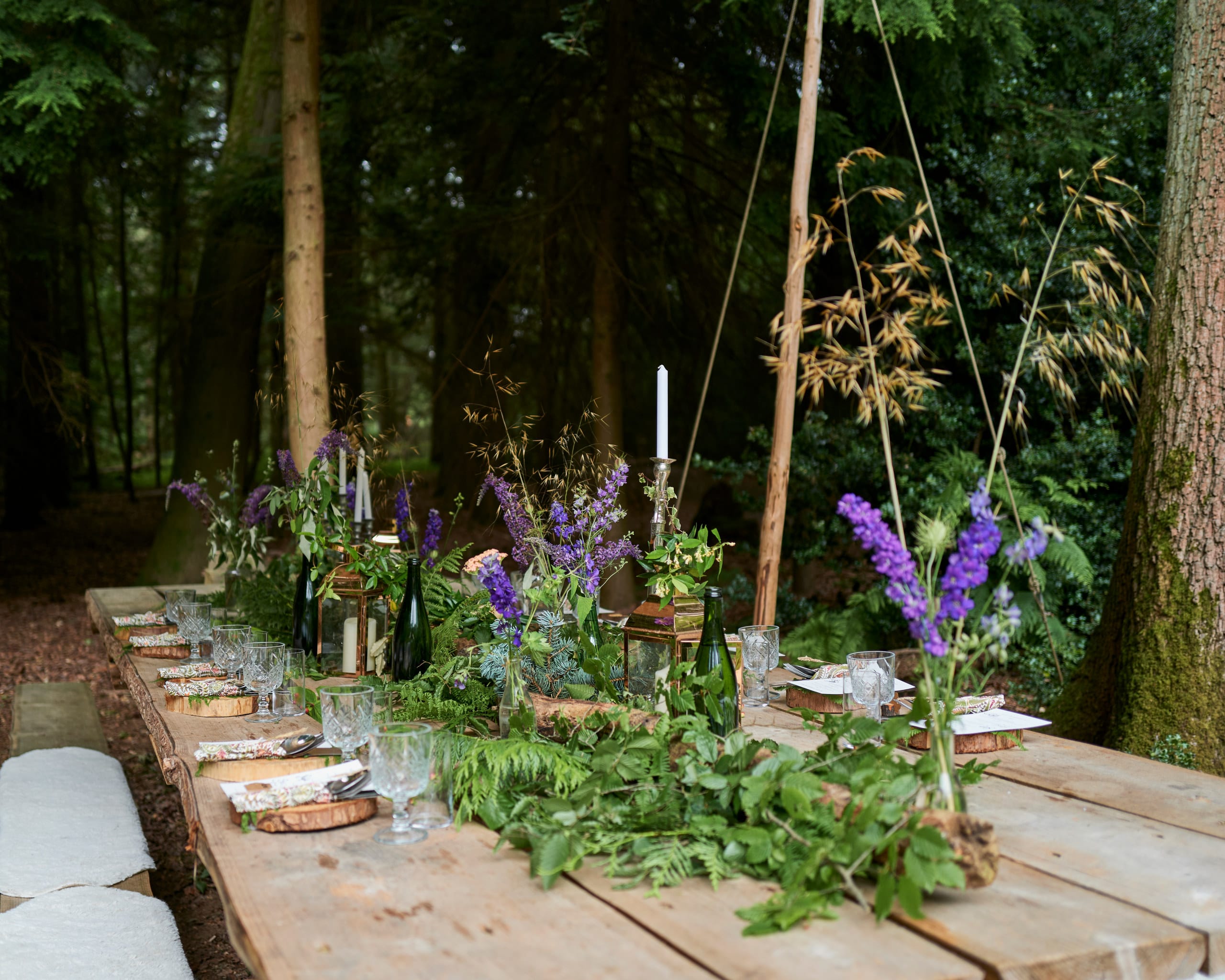 Photo of Nomadic Dinners, Festive Forest