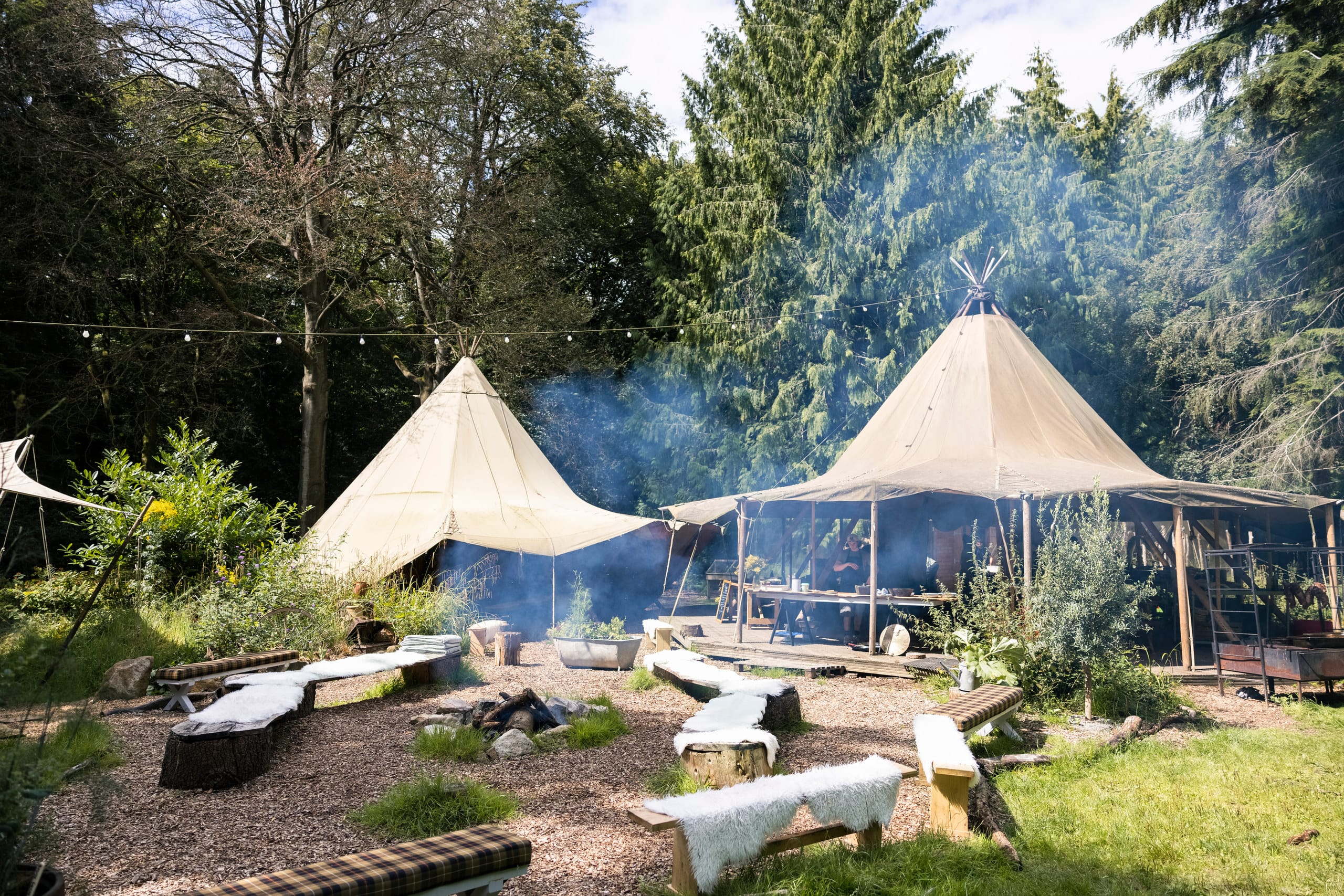 Photo of Nomadic Dinners, Festive Forest