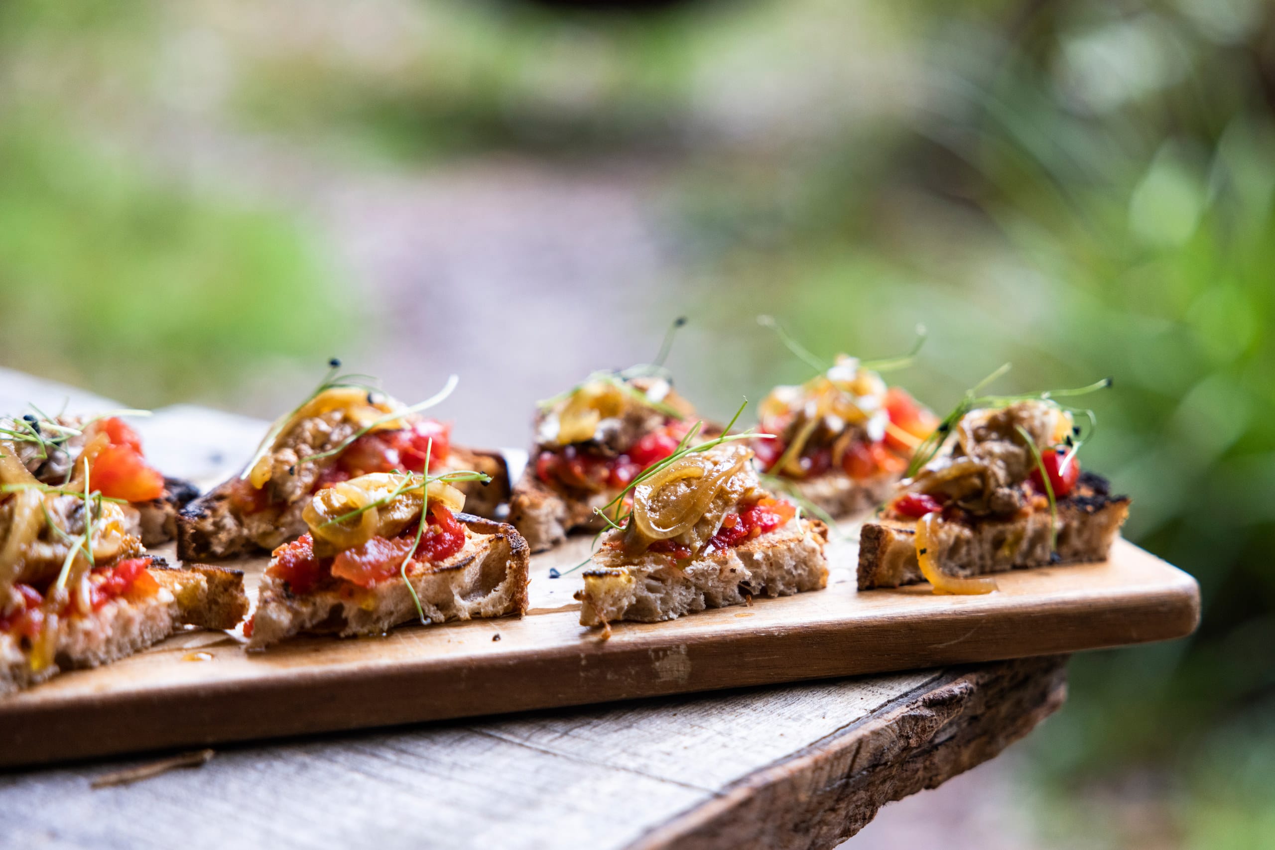Photo of Nomadic Dinners, Festive Forest