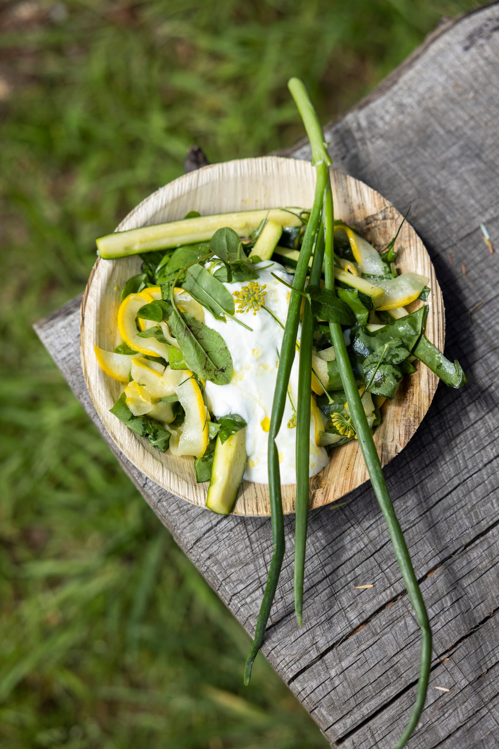 Photo of Nomadic Dinners, Festive Forest