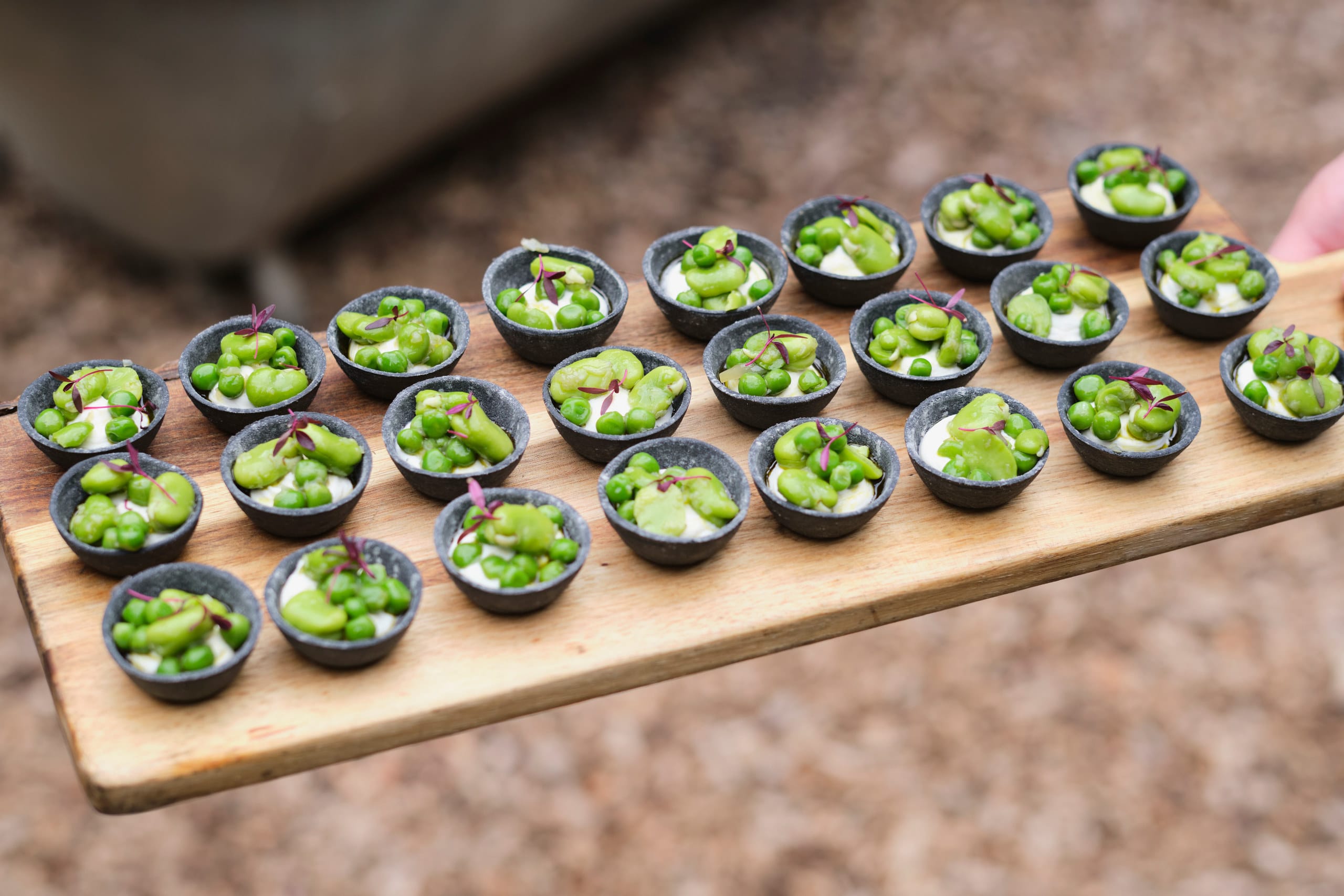 Photo of Nomadic Dinners, Festive Forest
