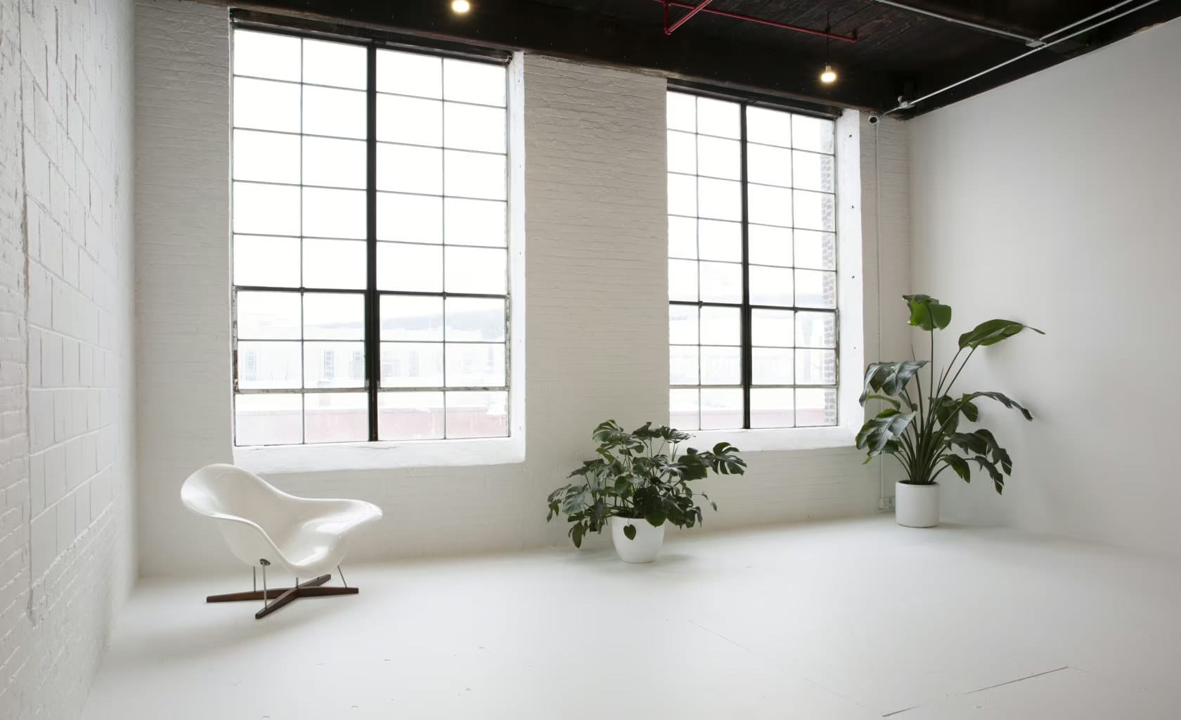 Photo of Please Space, Thank You Studio