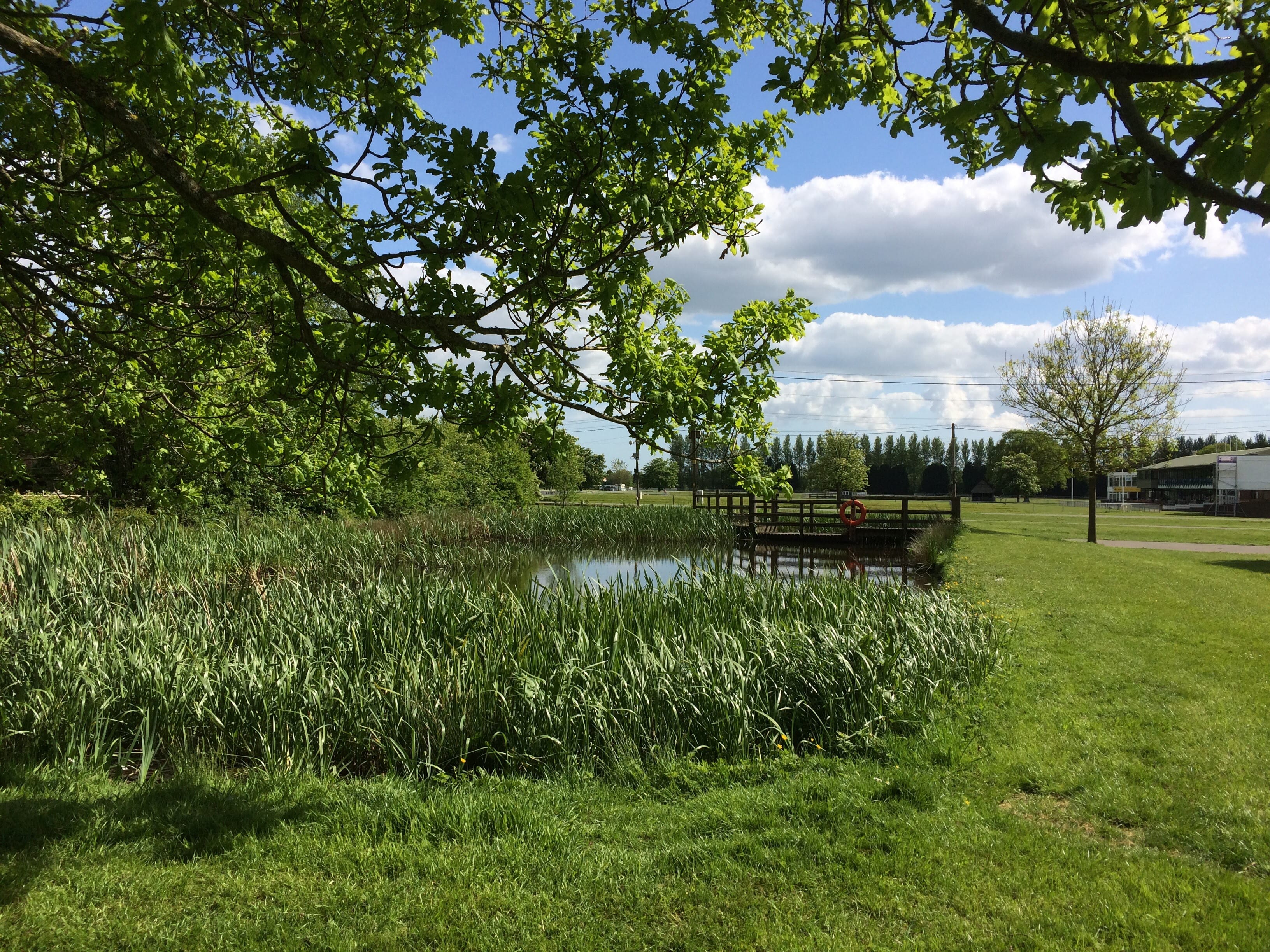 Photo of South Of England Event Centre