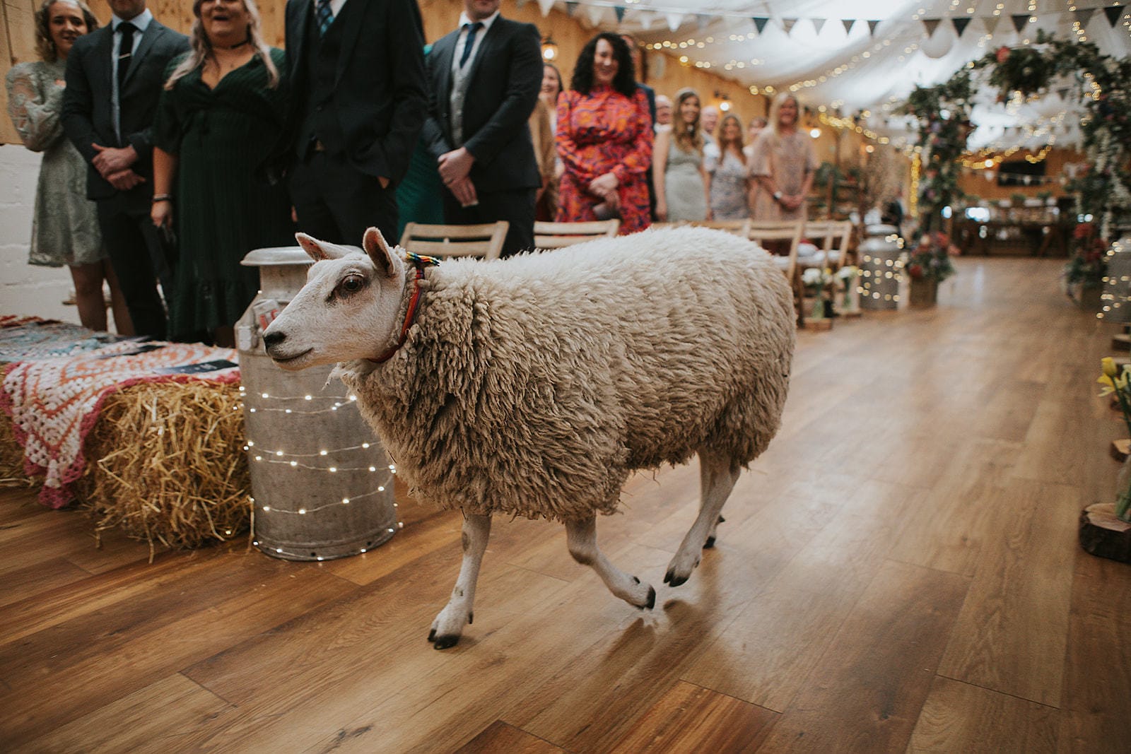 Photo of The Wellbeing Farm, Exclusive Hire