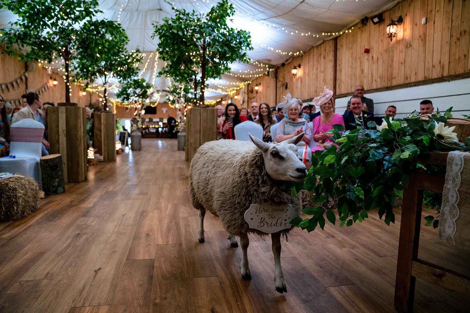 Photo of The Wellbeing Farm, The Events Barn