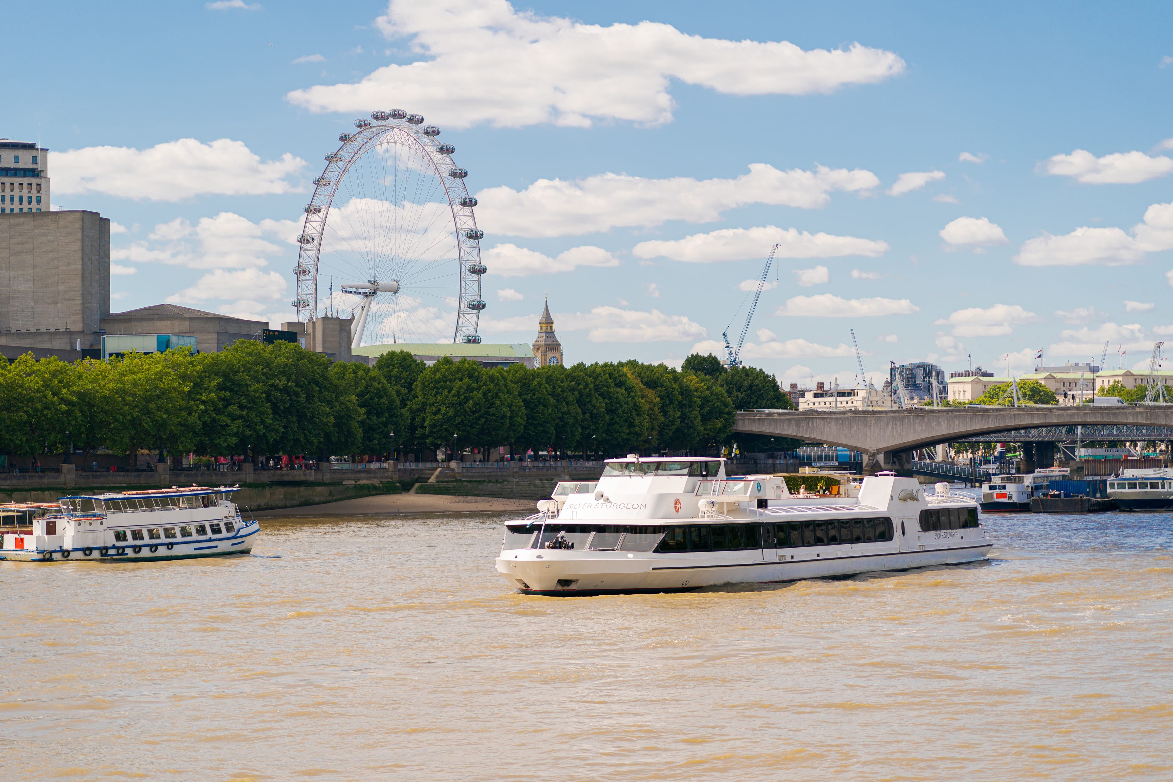 Photo of Woods' Silver Fleet, Silver Sturgeon