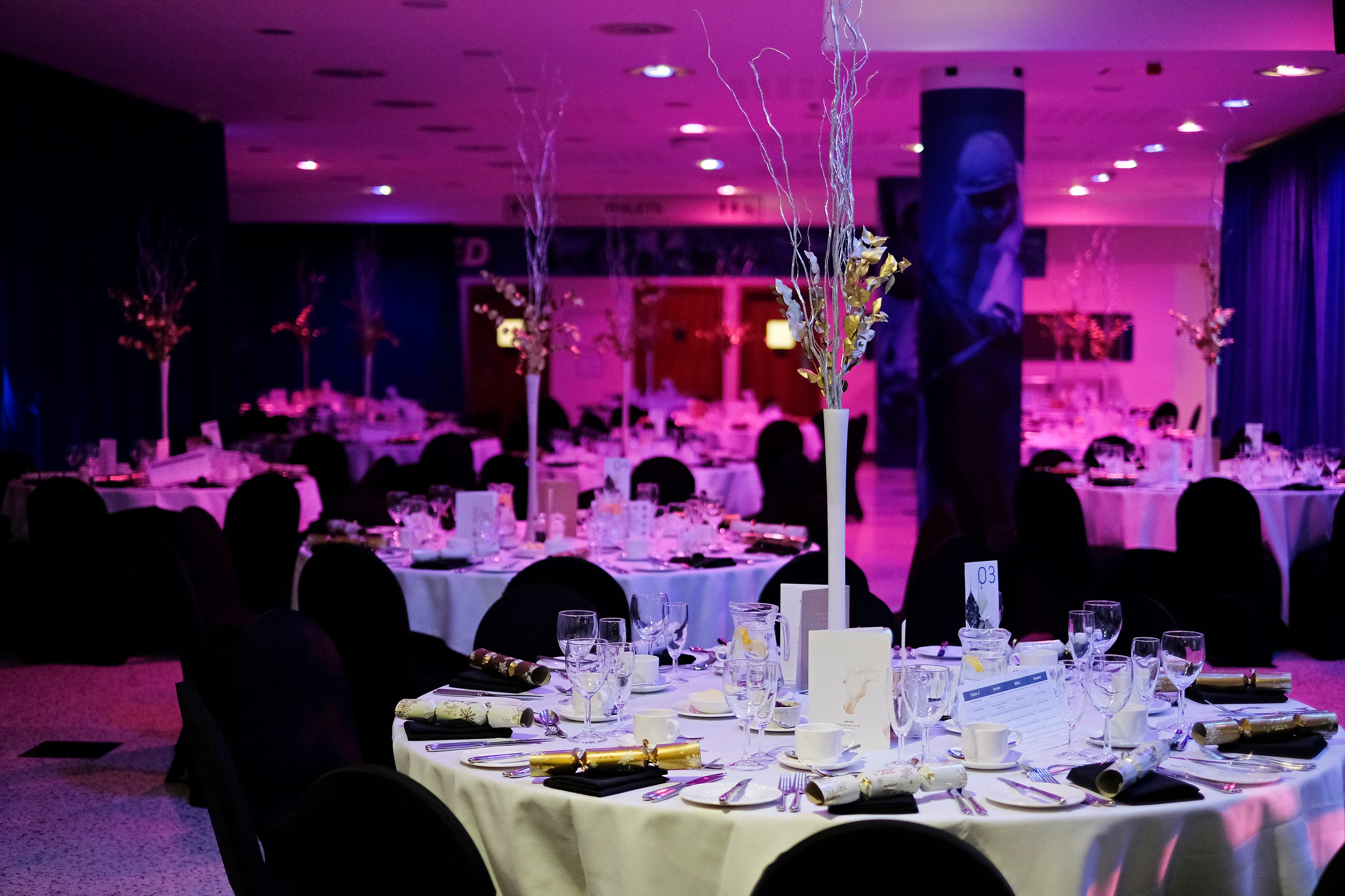 Photo of Newmarket Racecourses