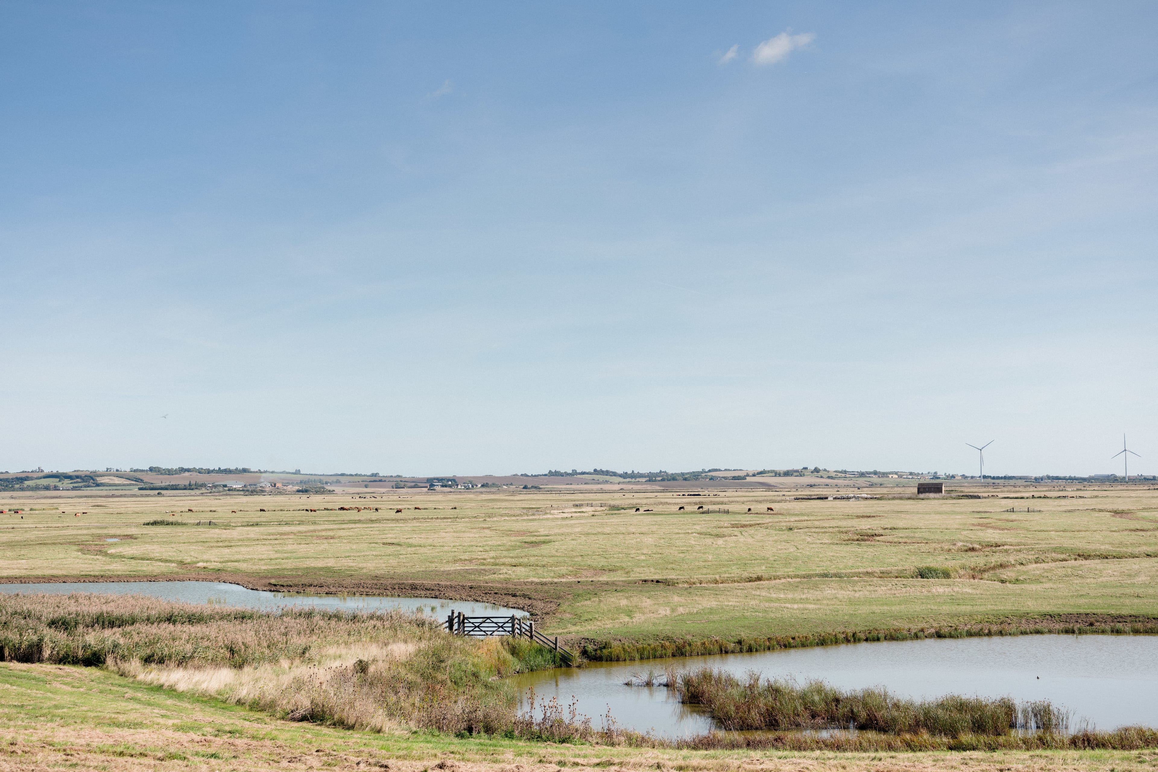 Photo of Elmley