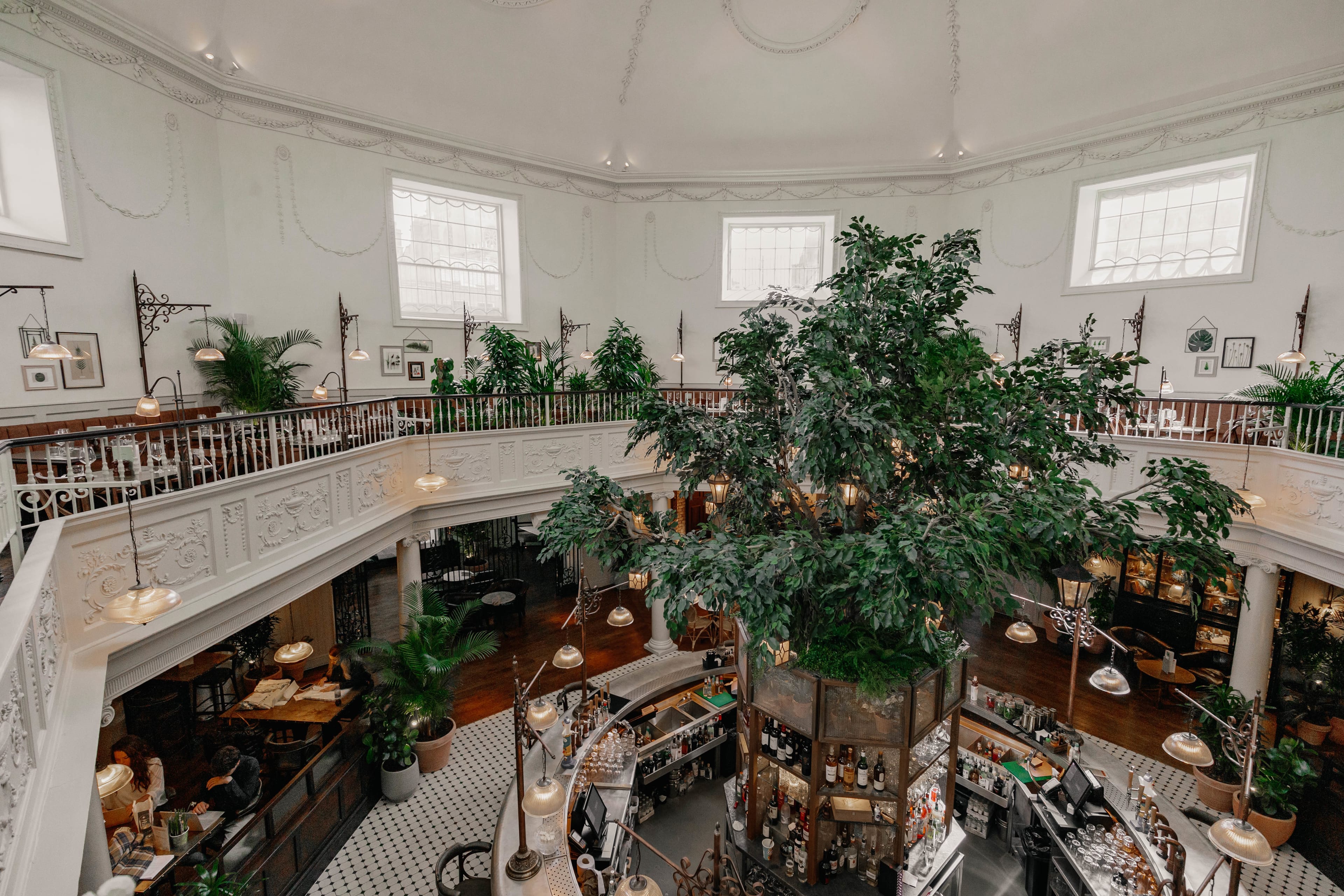 Photo of The Botanist Bath, Whole Venue