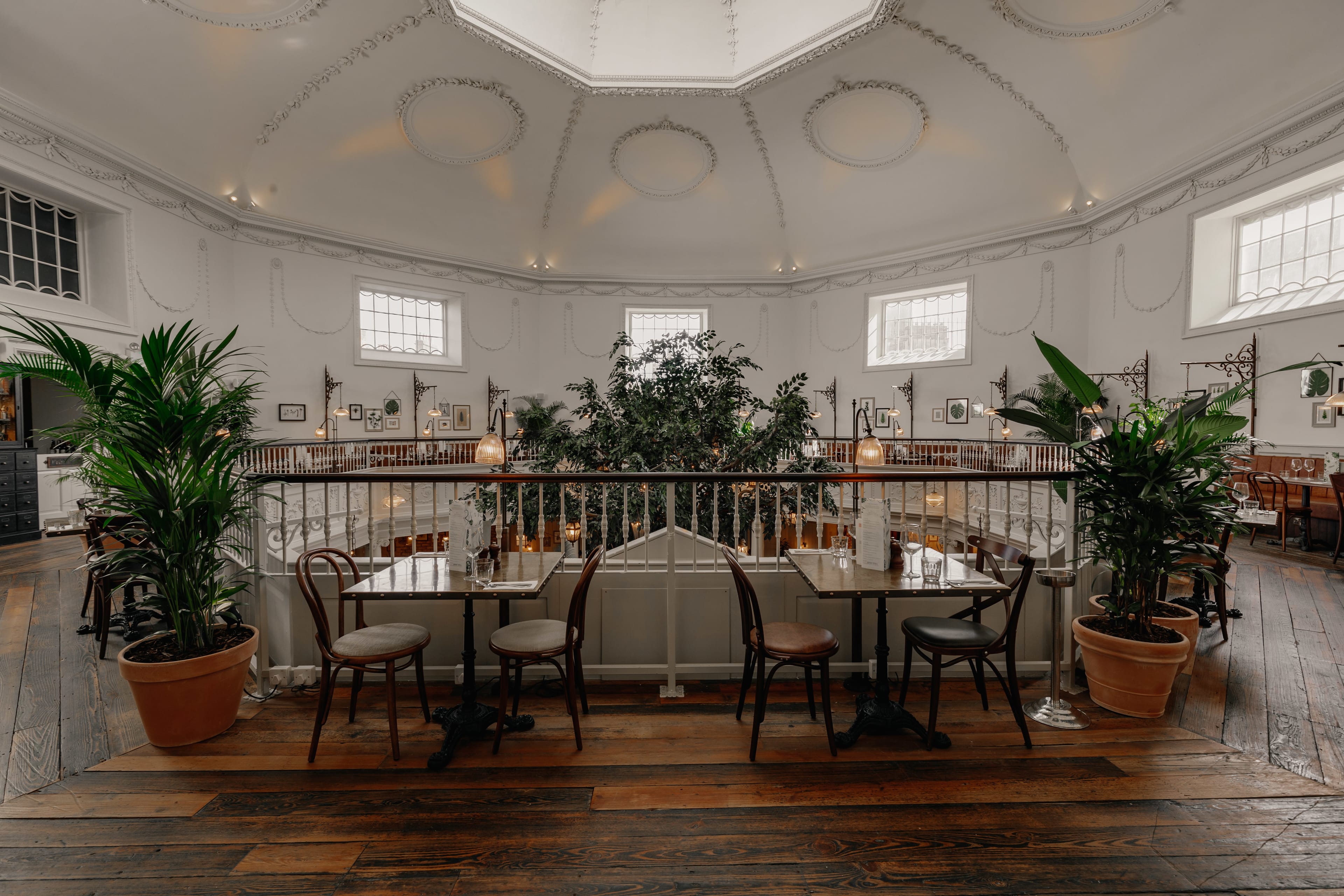 Photo of The Botanist Bath, Whole Venue