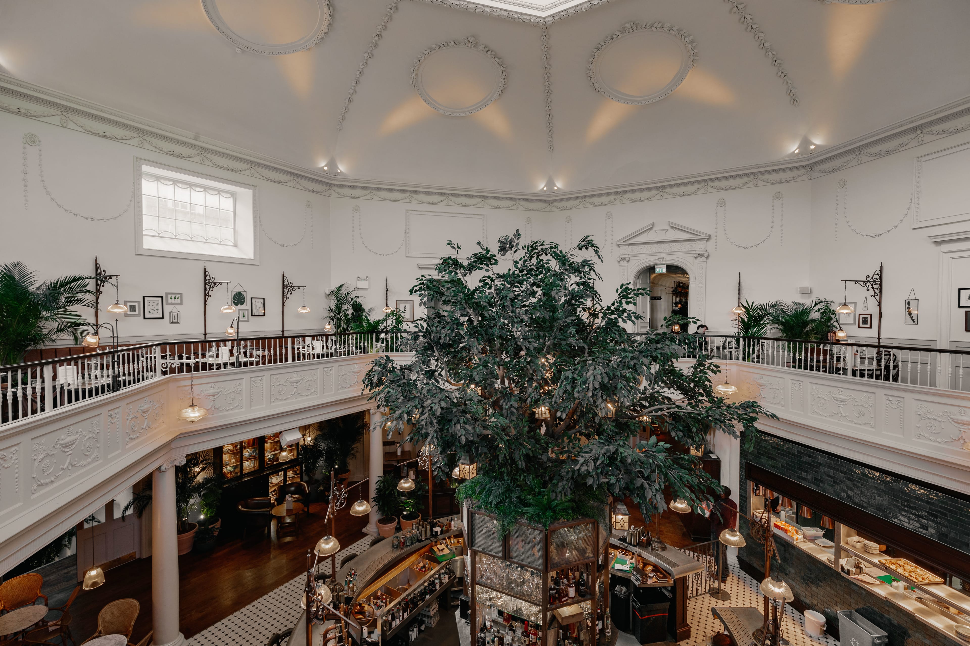 Photo of The Botanist Bath, Whole Venue