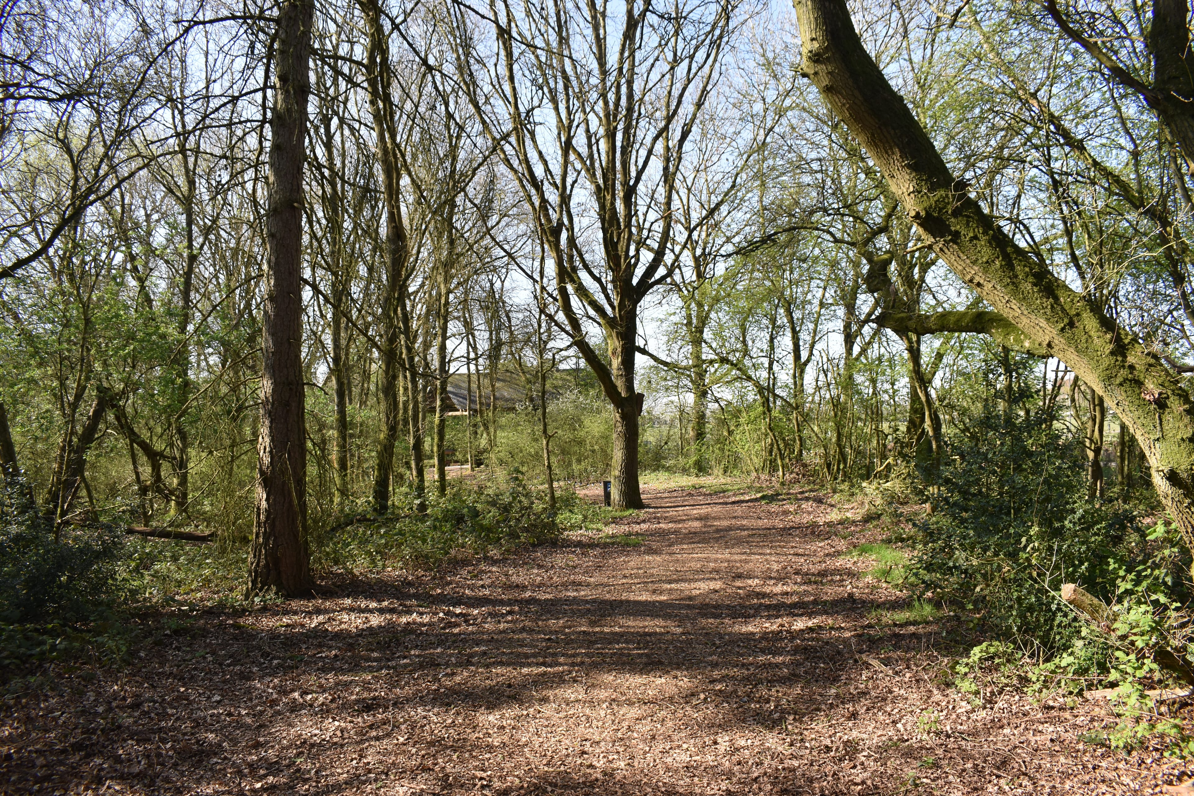 Photo of Statfold Country Park, The Outdoor Space