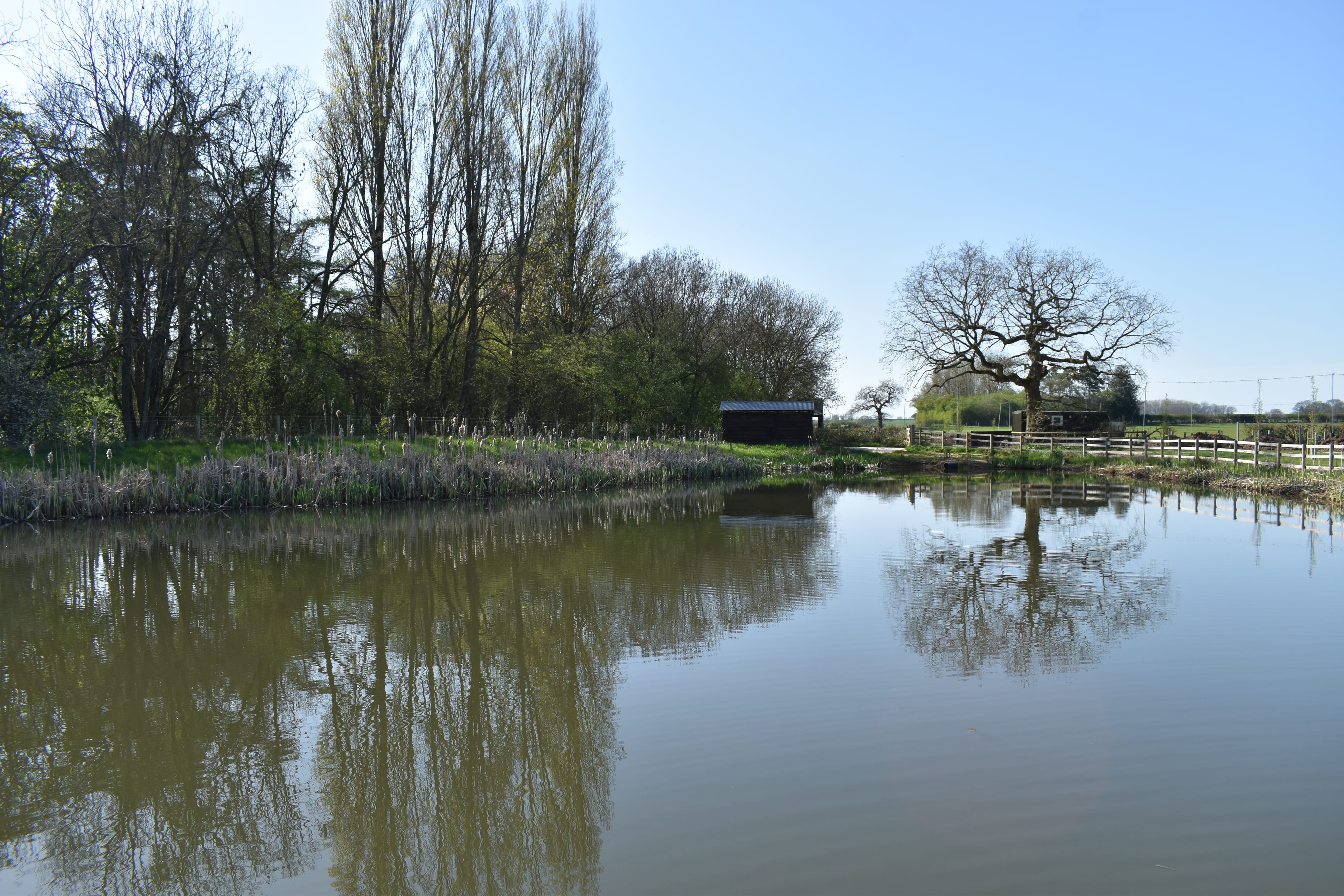 Photo of Statfold Country Park, The Outdoor Space
