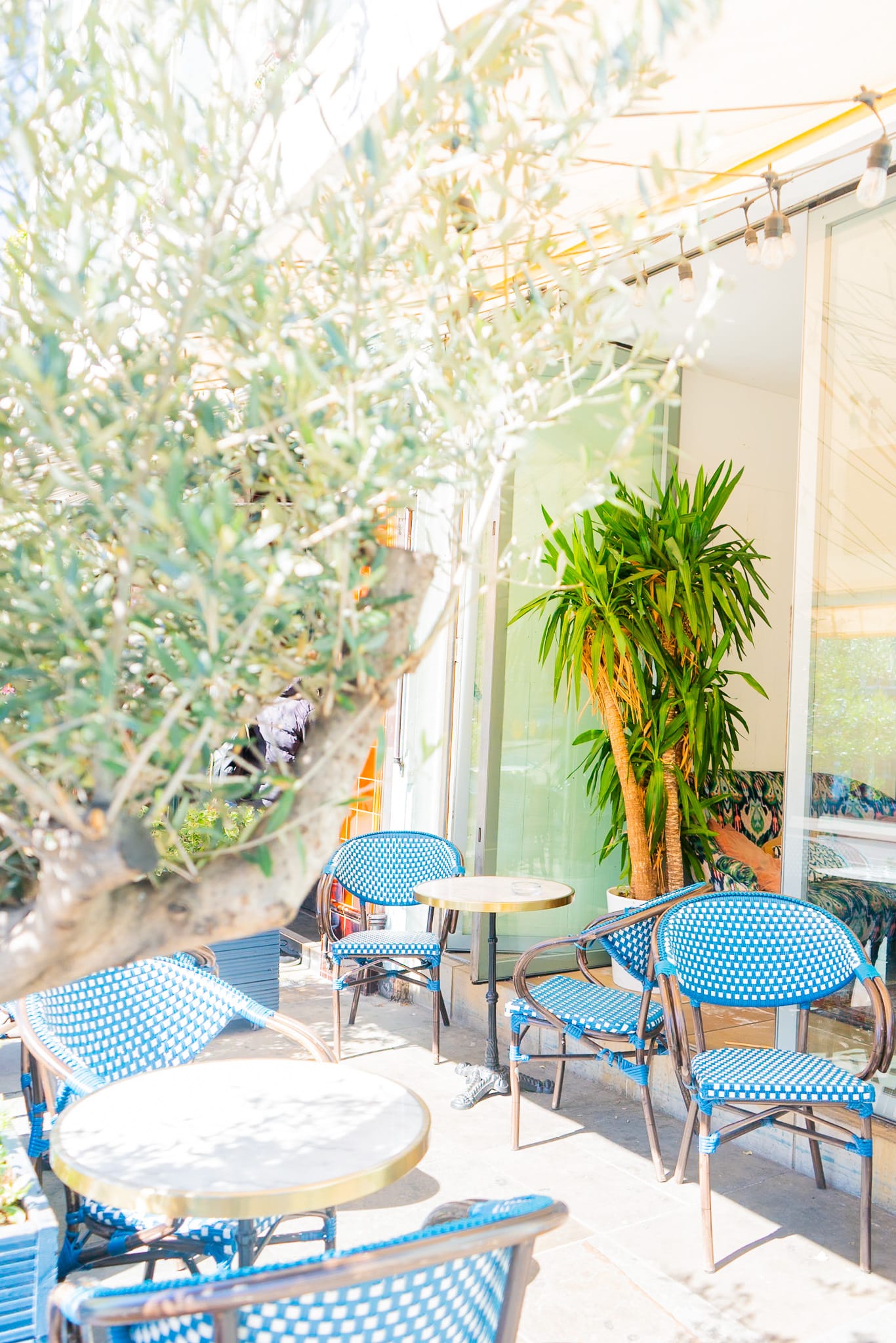 Photo of Bubba Oasis, Summer At Bubba Oasis: Whole Venue Hire