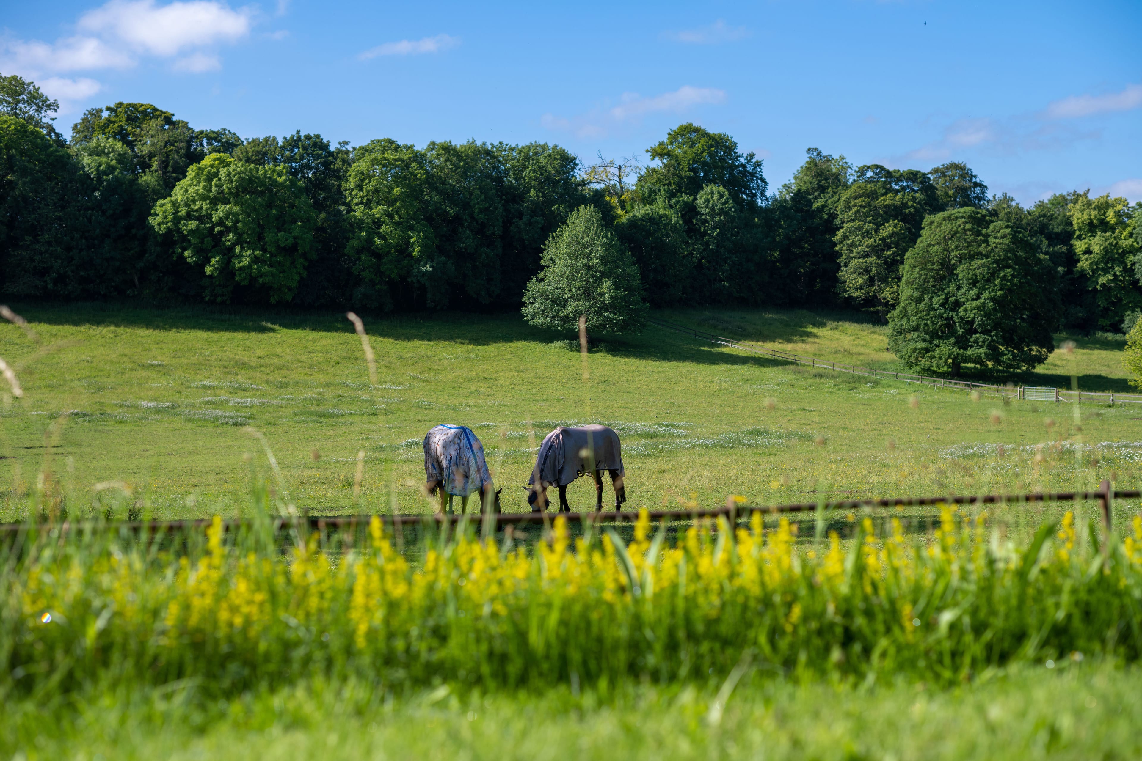 Photo of Henge Estate, Exclusive Hire