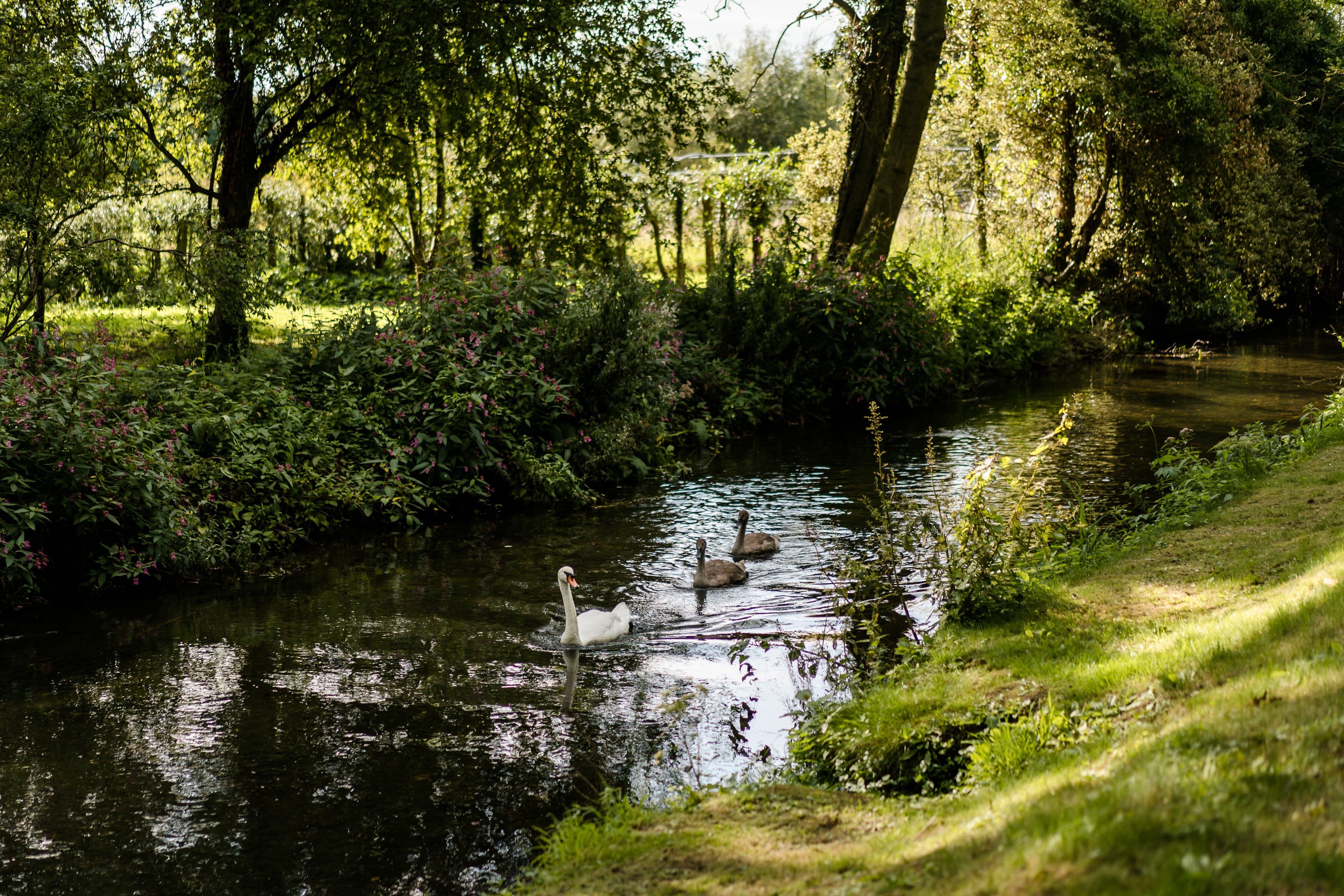 Photo of Eastington Park, Exclusive Hire