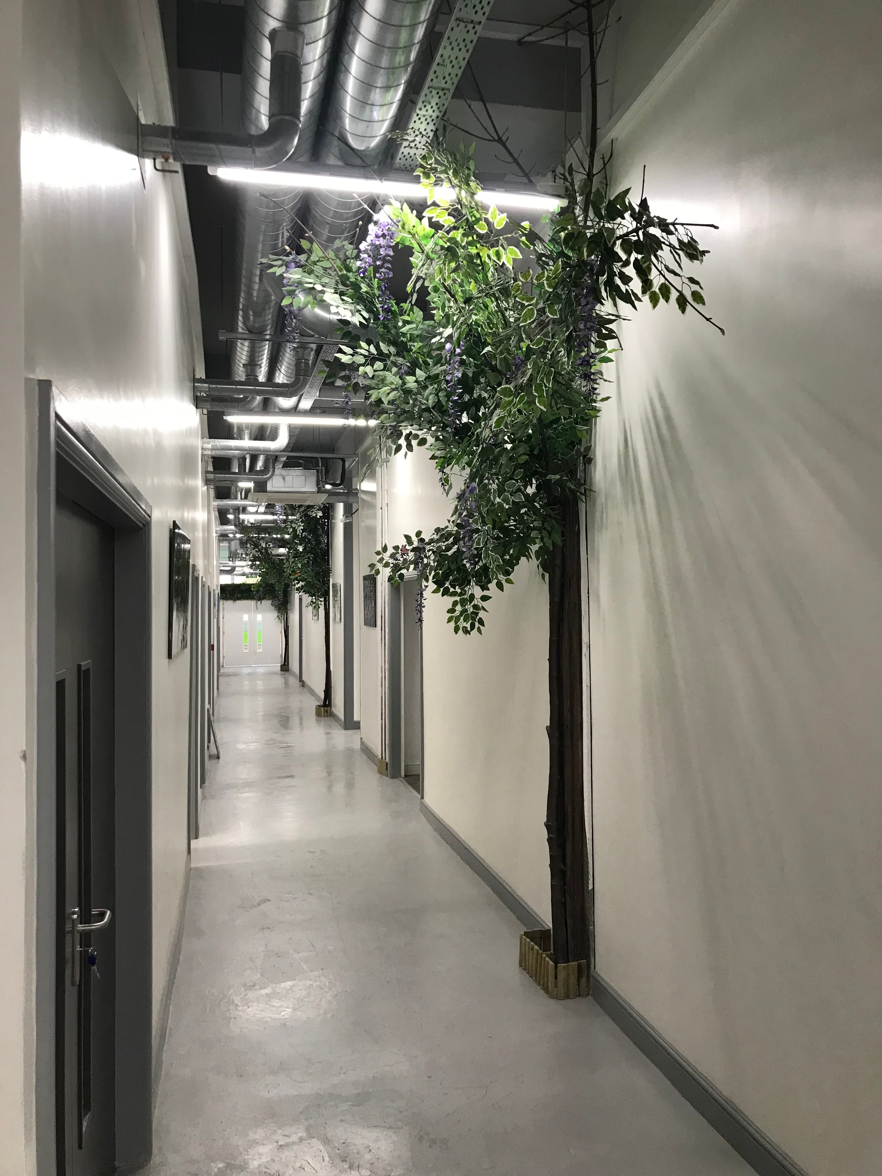 Photo of The Branch Wellness Clinic117, Treatment Room