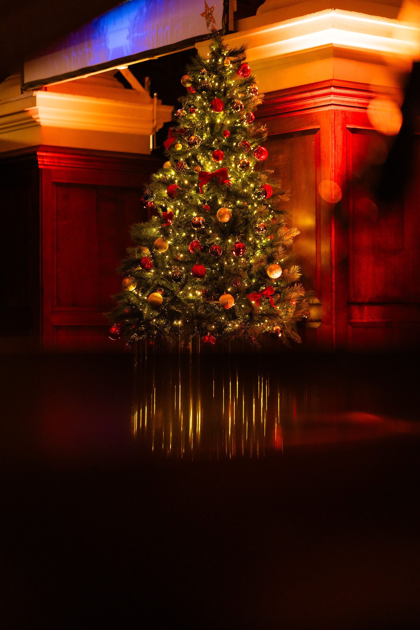 Photo of Christ Church Spitalfields, Christmas Party