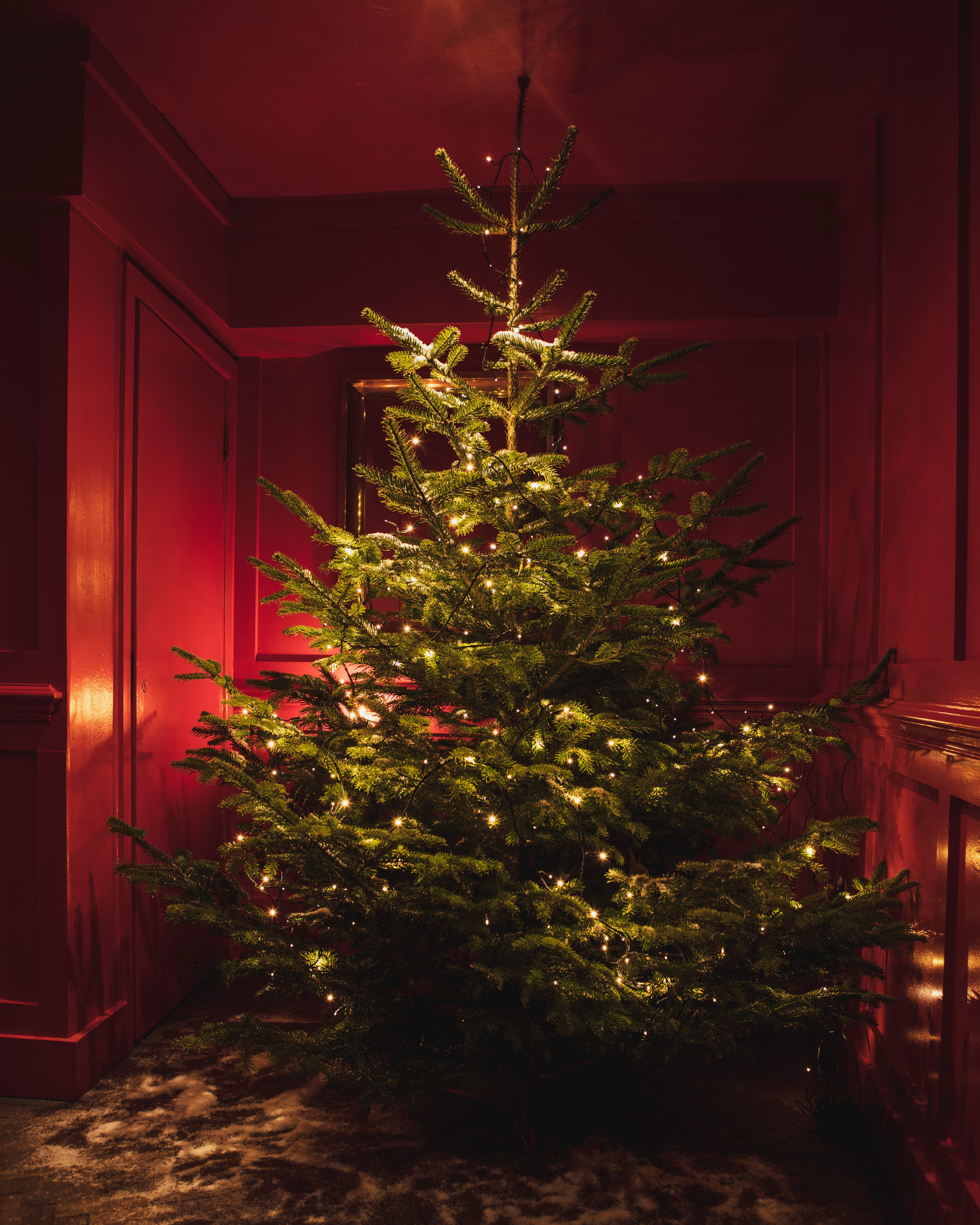 Photo of Fivefourstudios, Christmas Parties