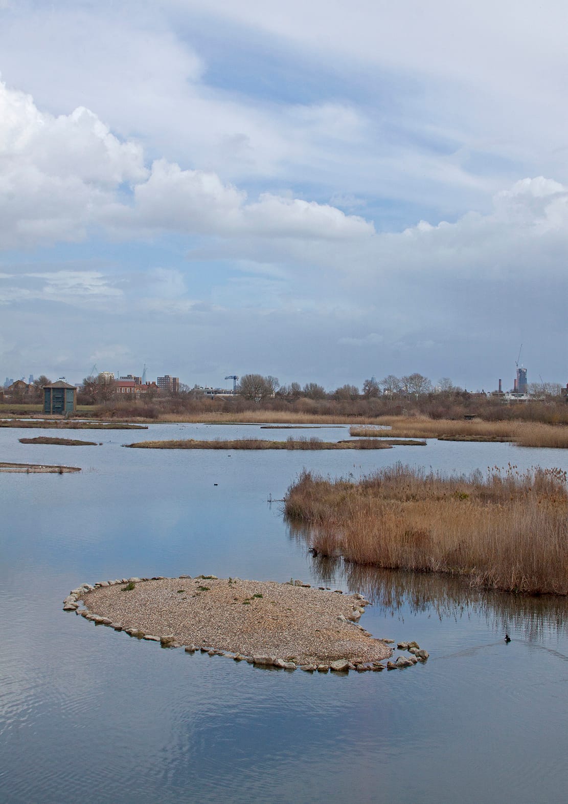 Photo of WWT London Wetland Centre, Observatory