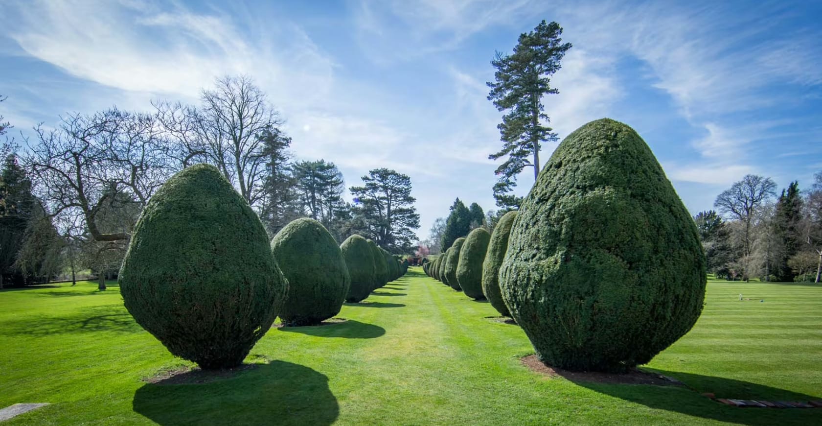 Photo of The Elvetham Hotel