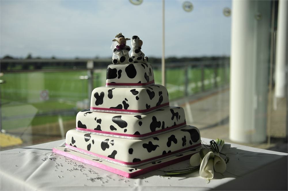 Photo of York Racecourse