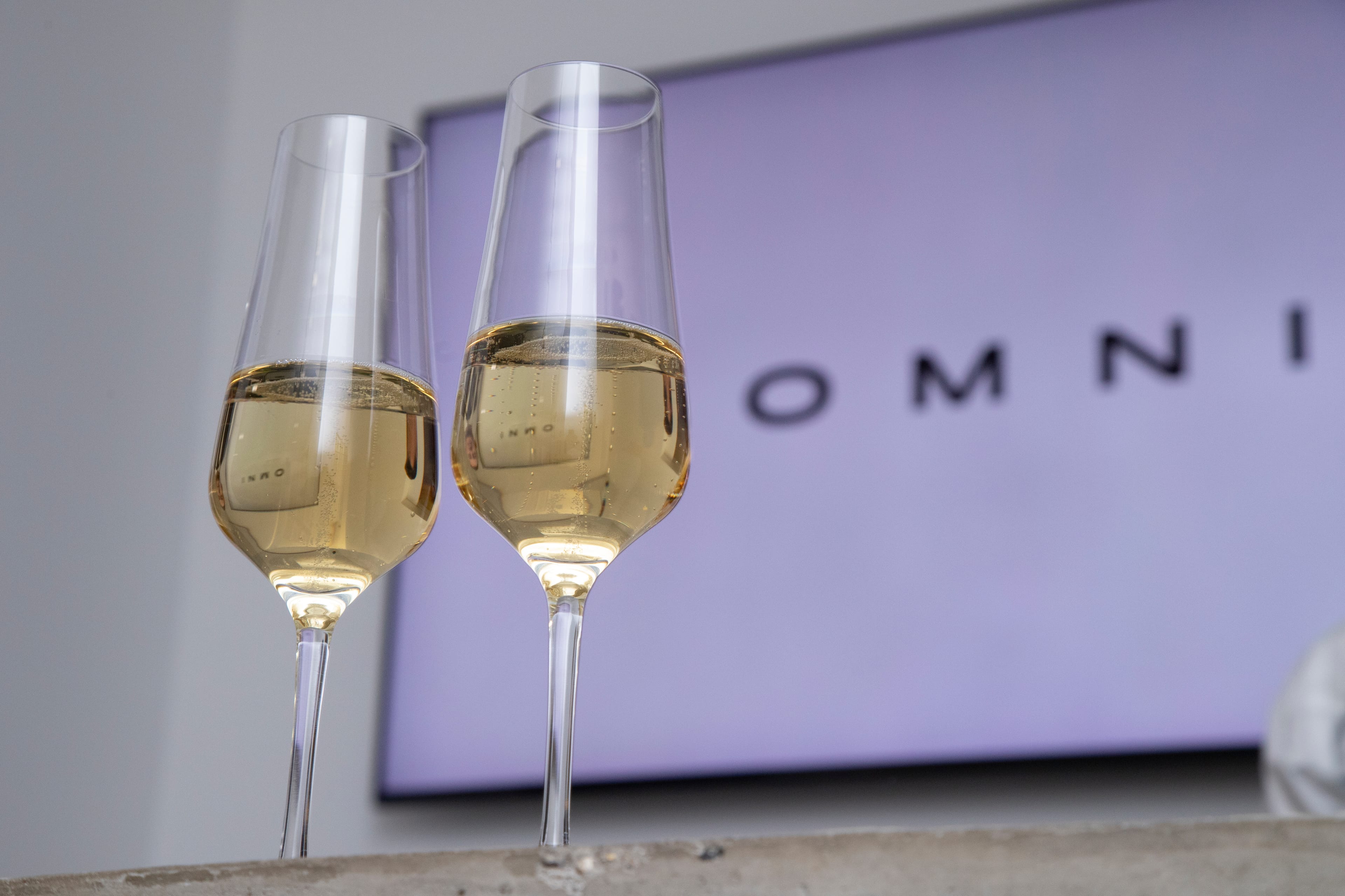 Photo of OMNI Gallery