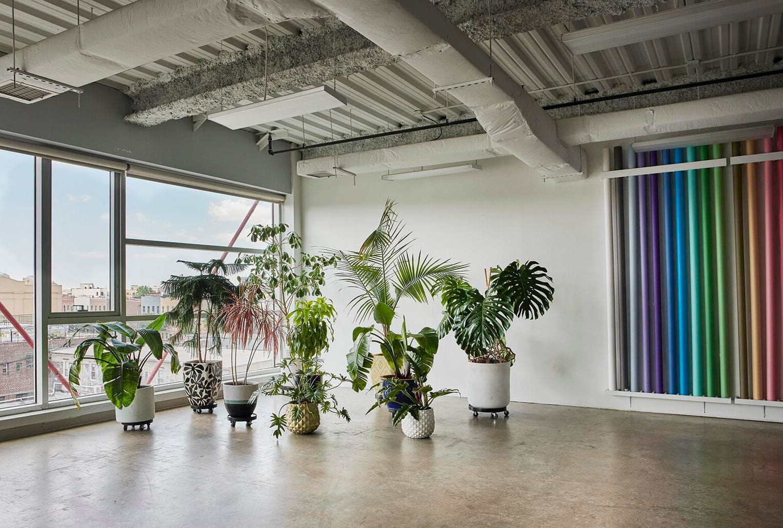 Photo of Matka LLC: OKNO