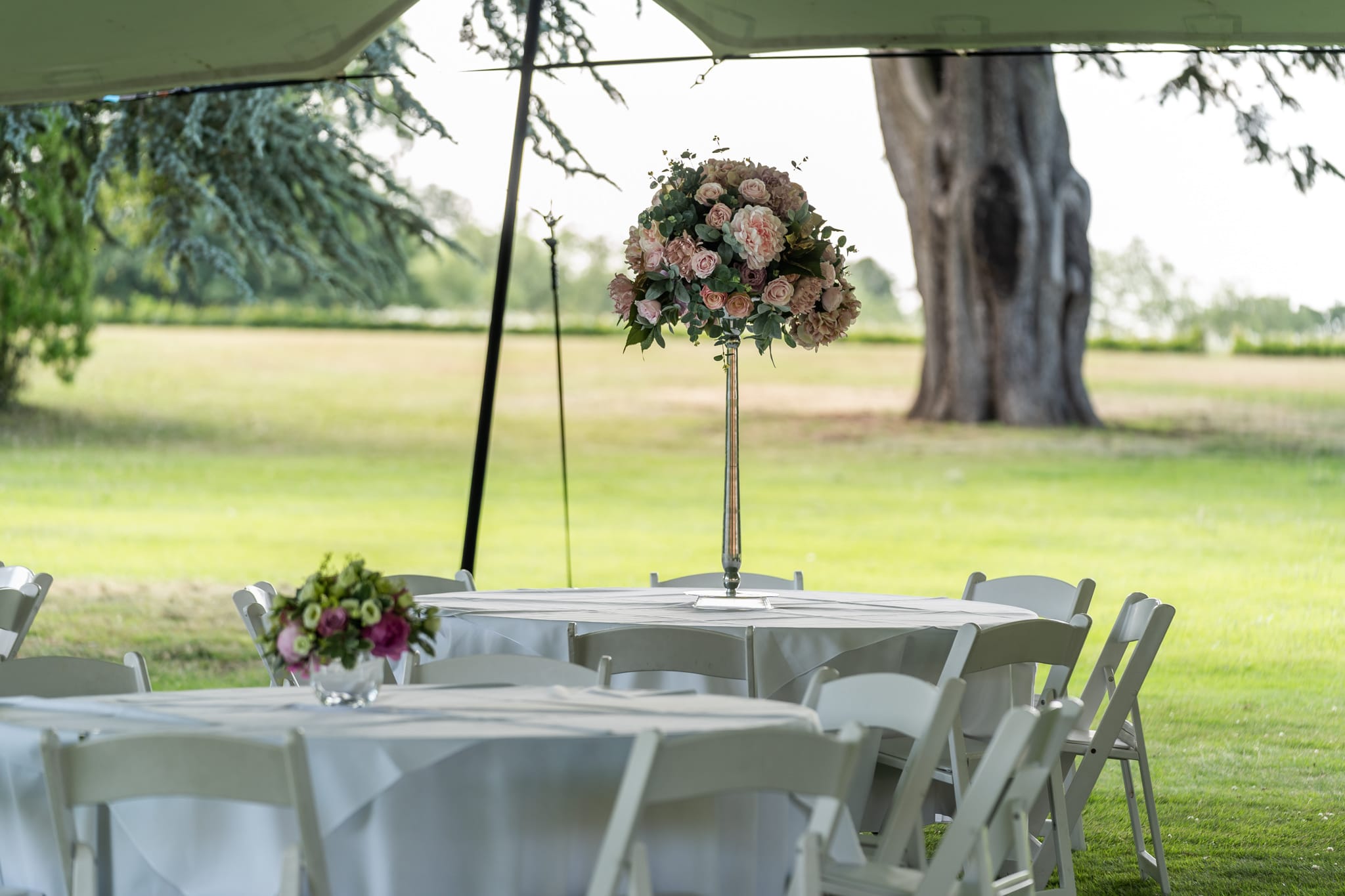 Photo of Braxted Park Estate, The Grounds And Outdoor Festival