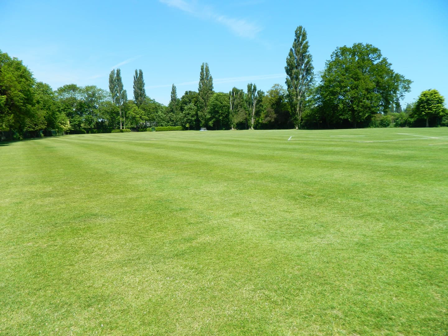 Grounds Hire, St George's College Weybridge photo #5
