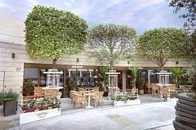 Mrs Fogg’s Dockside Drinkery & Distillery photo #2